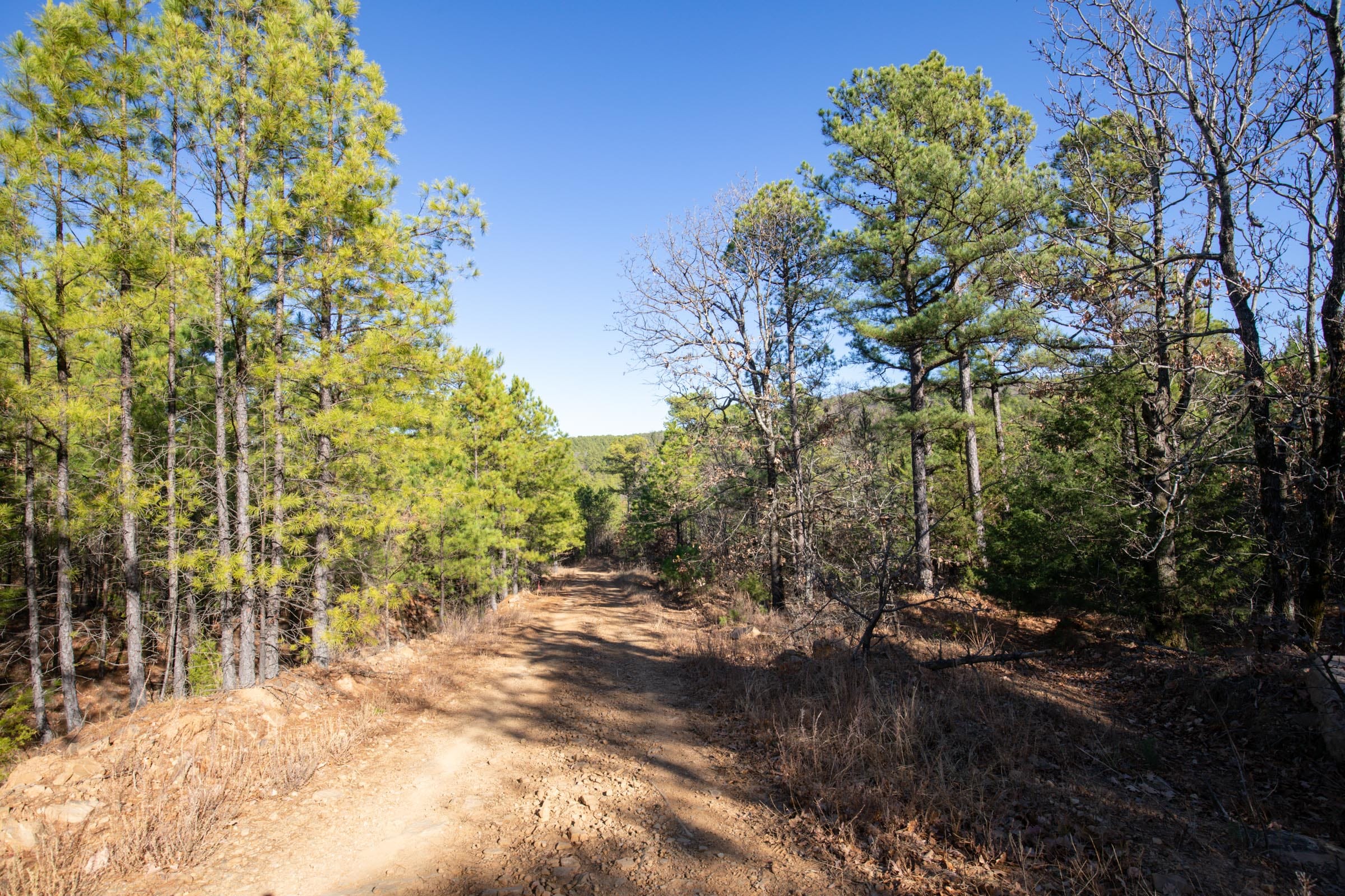 Stone Bridge Phase II Tract 76 photo 1