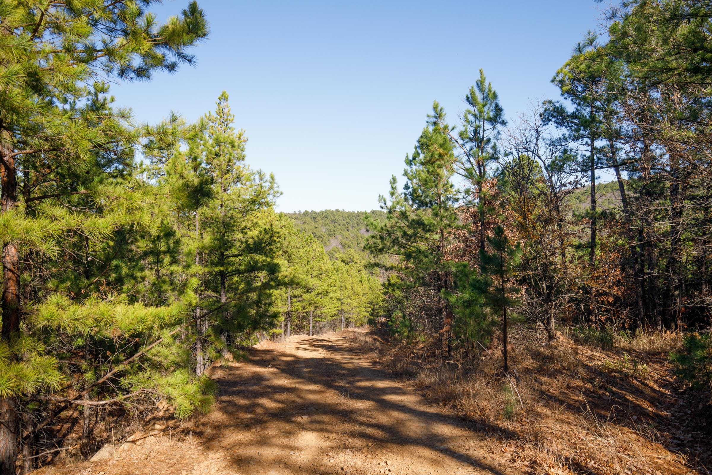 Stone Bridge Phase II Tract 76 photo 8