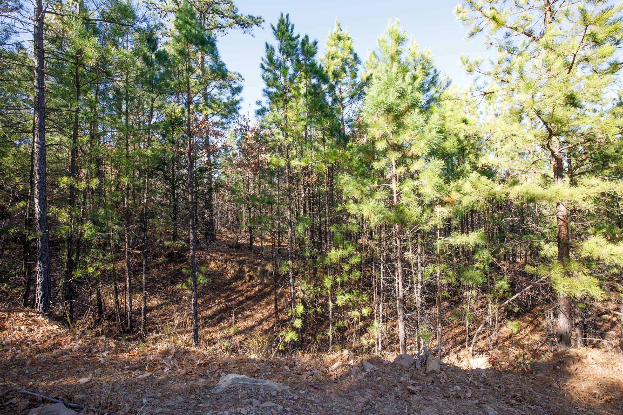 Stone Bridge Phase II Tract 76 photo 16