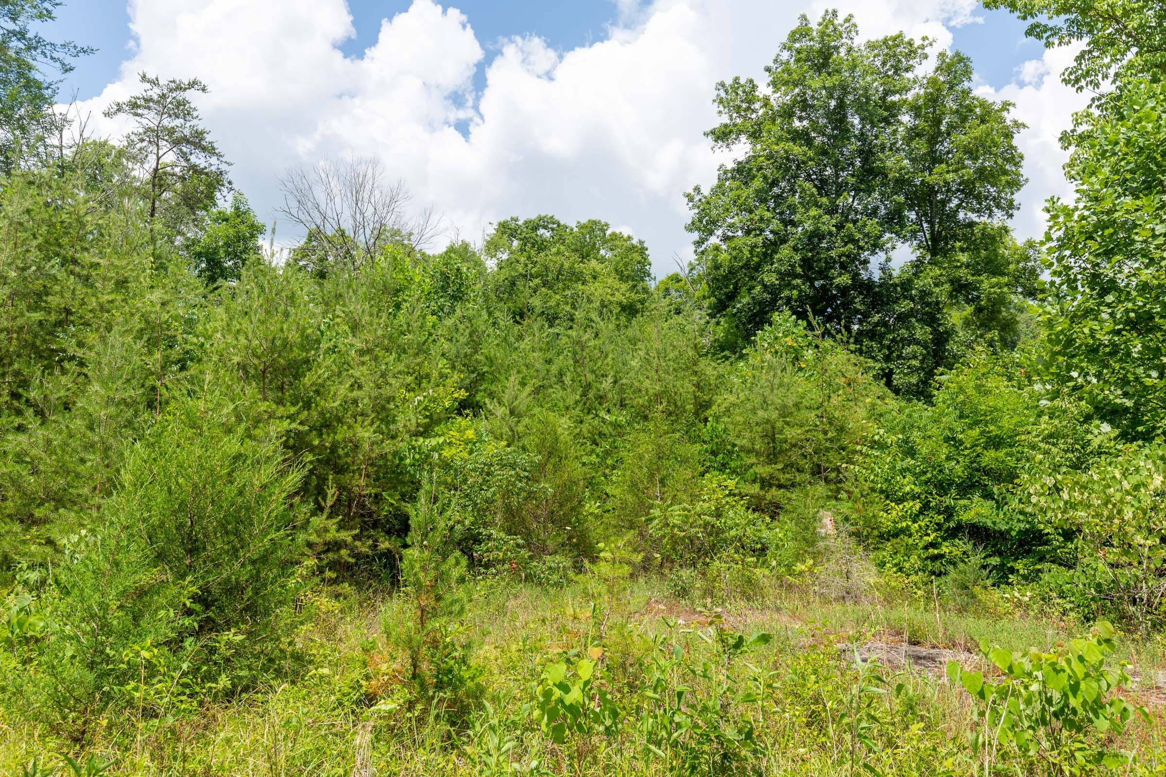 Tucker Hollow Tract 2 photo 2