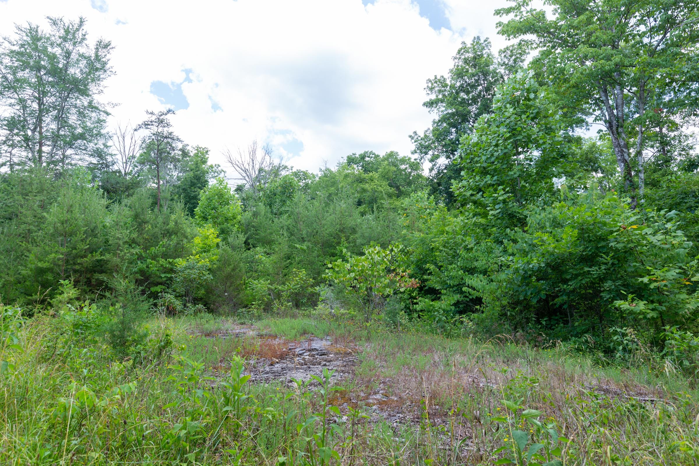 Tucker Hollow Tract 2 photo 10
