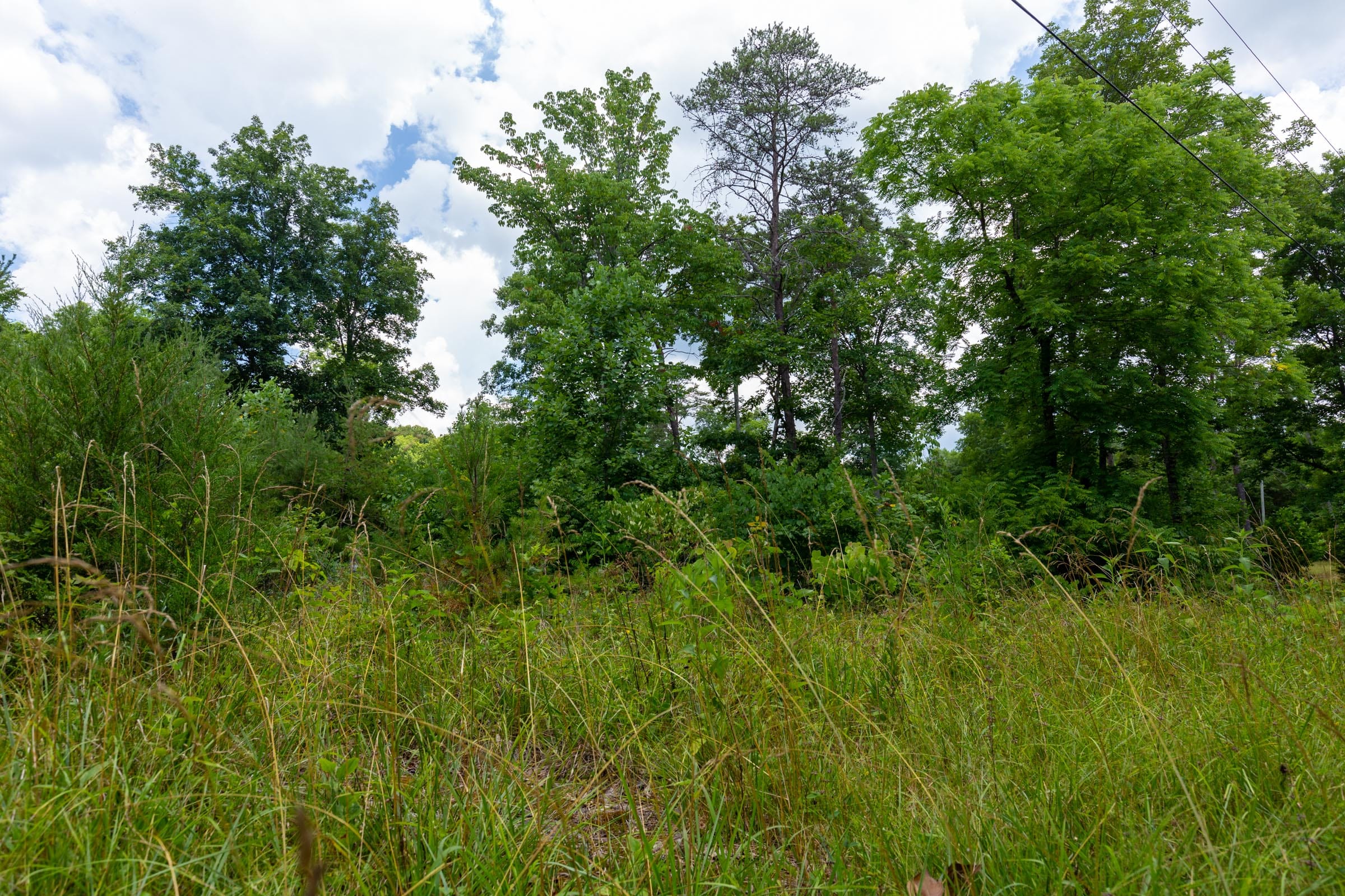 Tucker Hollow Tract 2 photo 11