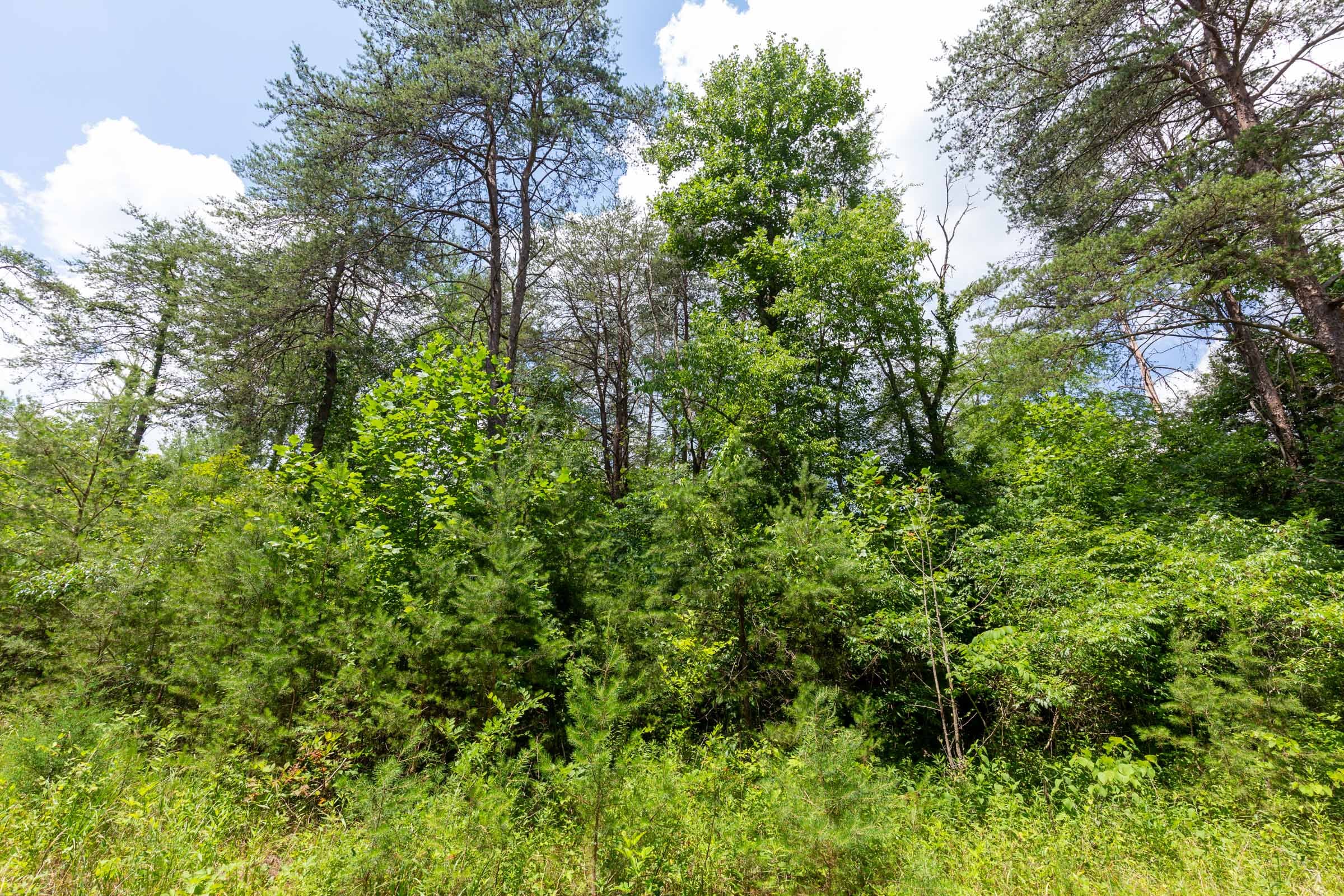 Tucker Hollow Tract 2 photo 13