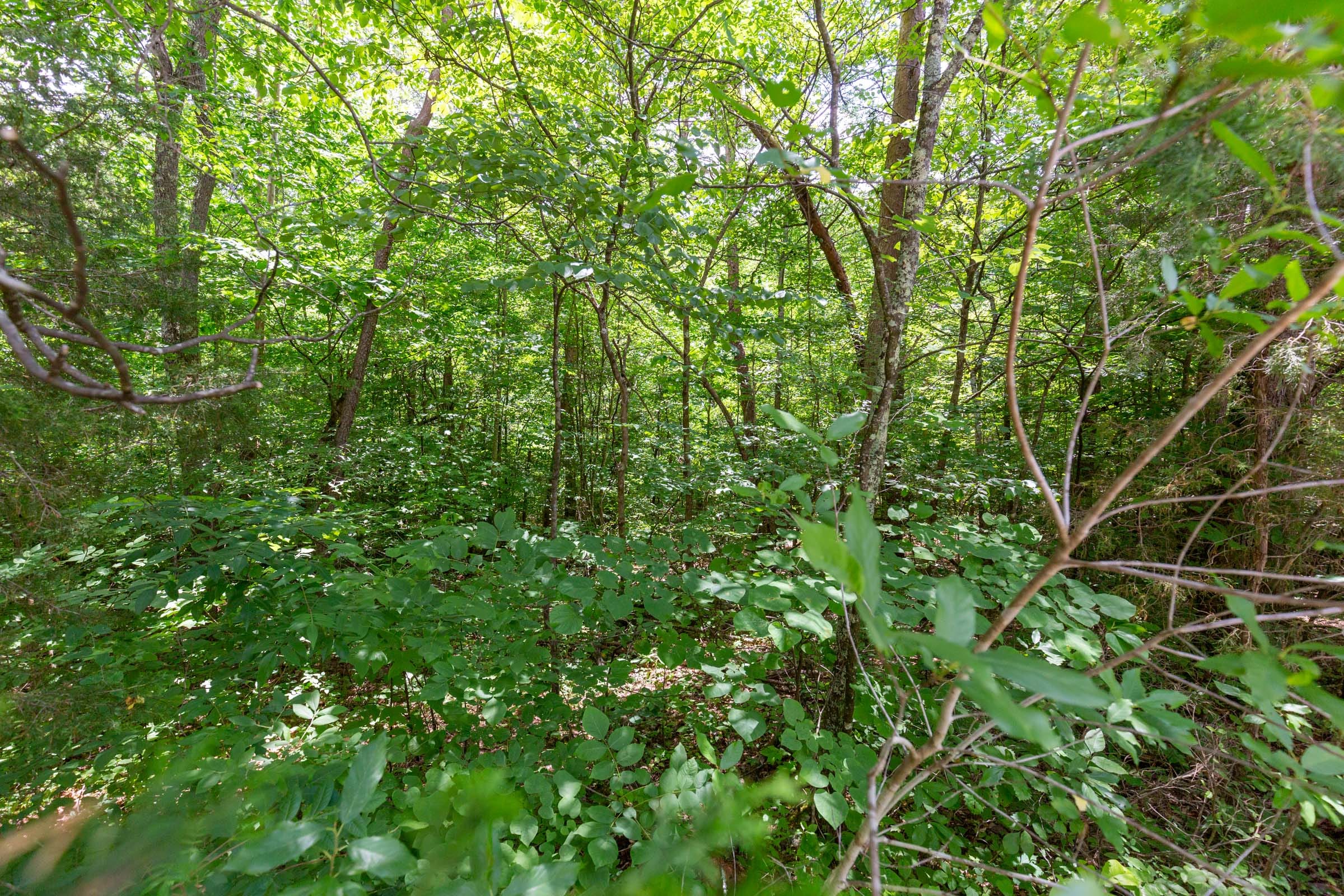 Tucker Hollow Tract 2 photo 15