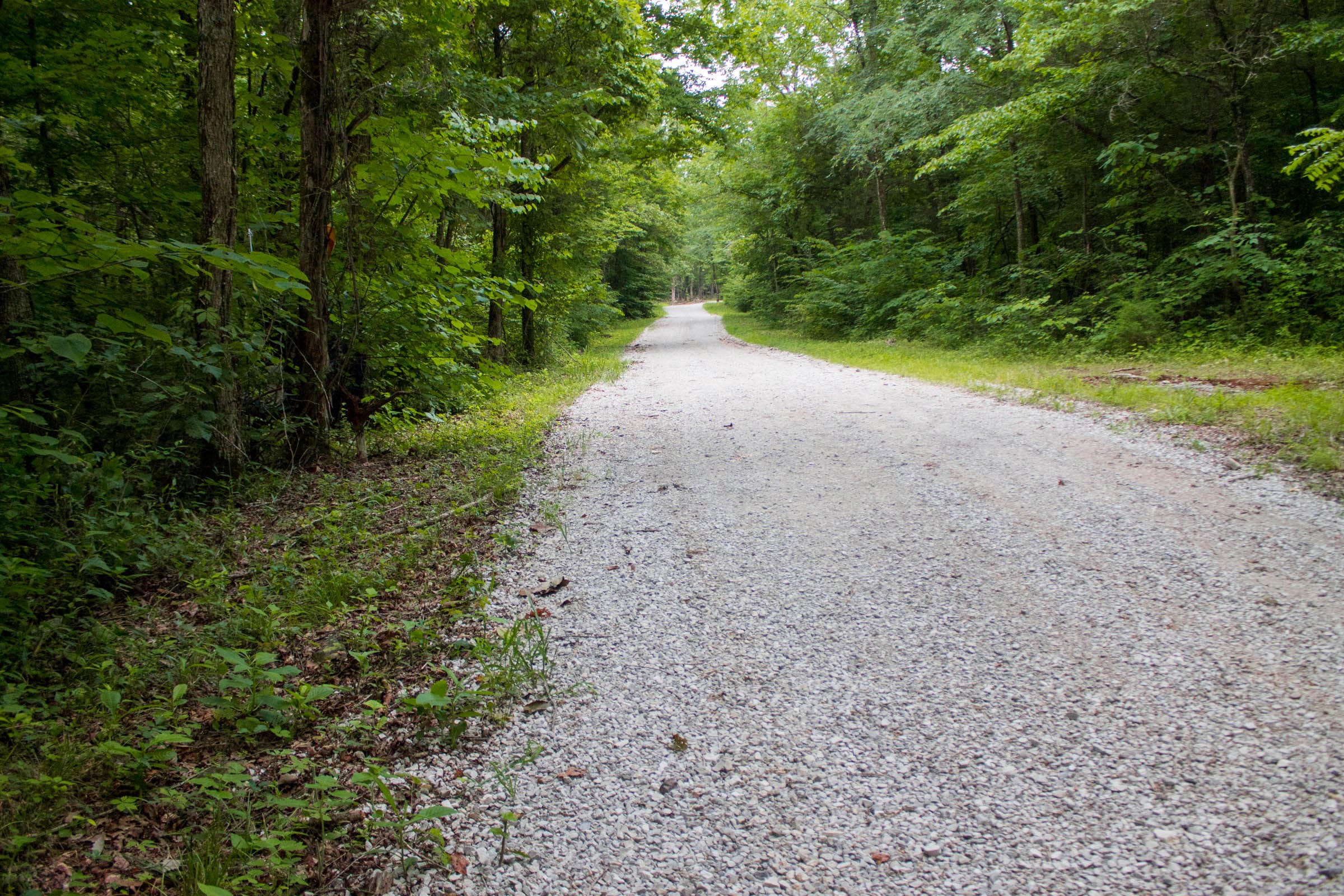 Bluewater Ridge Tract 1 photo 1