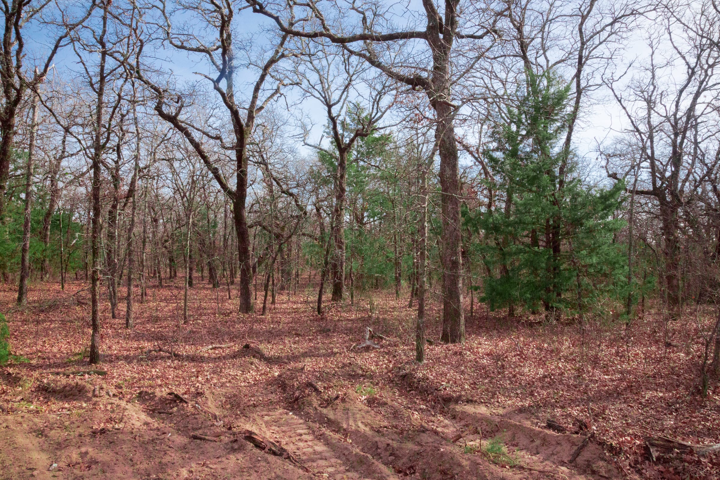 Legacy Ranch Tract 17 photo 6