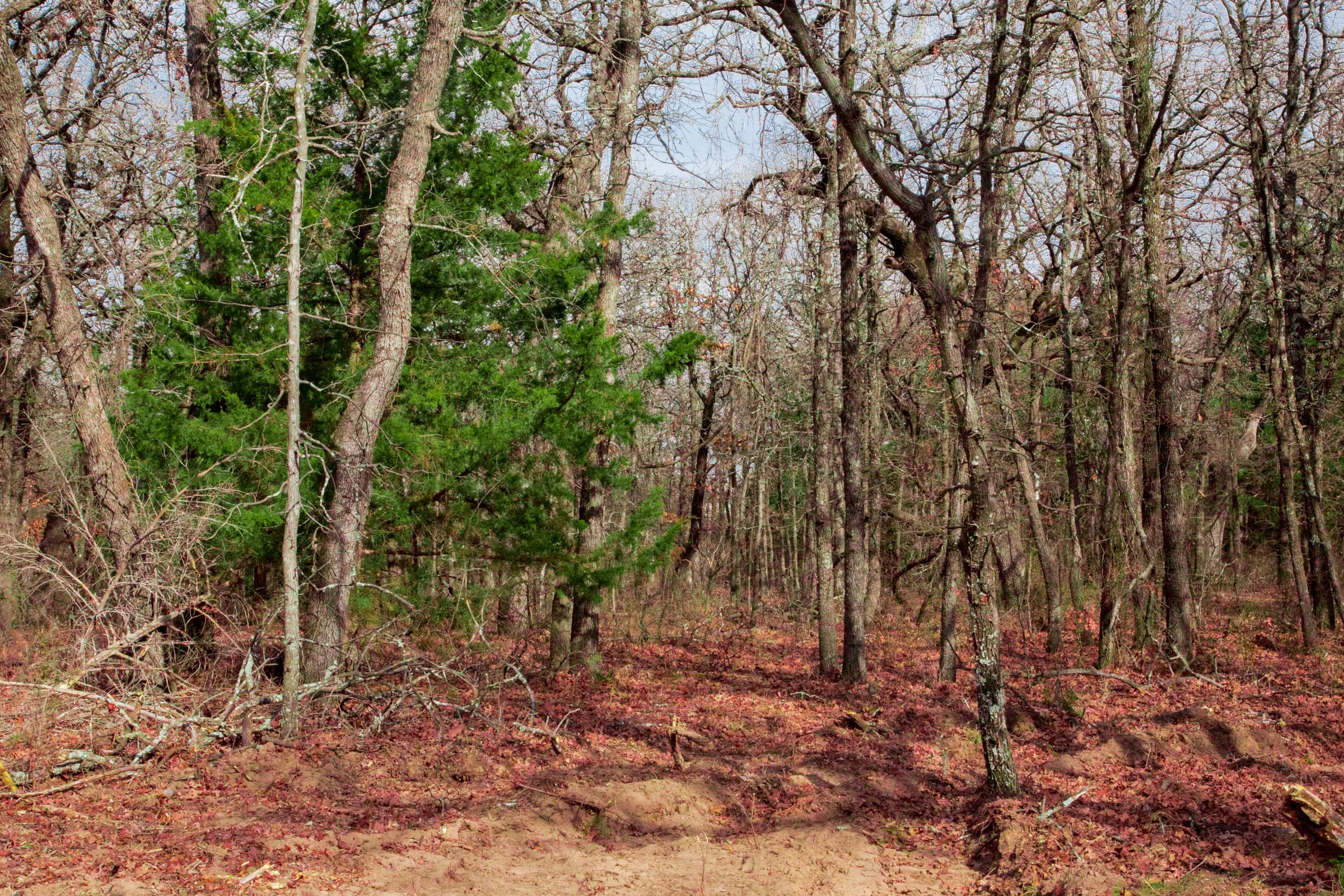 Legacy Ranch Tract 17 photo 8