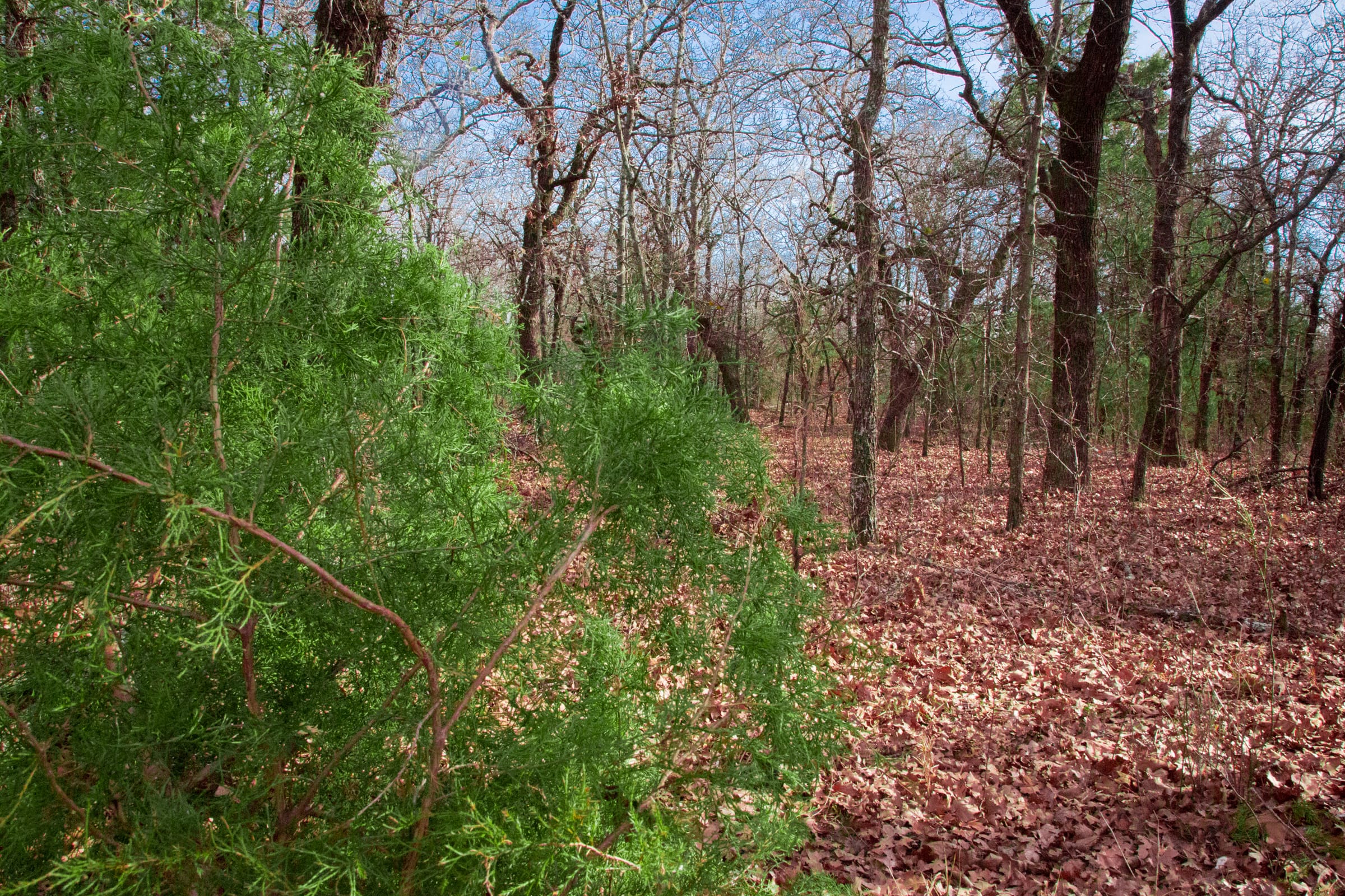 Legacy Ranch Tract 17 photo 9
