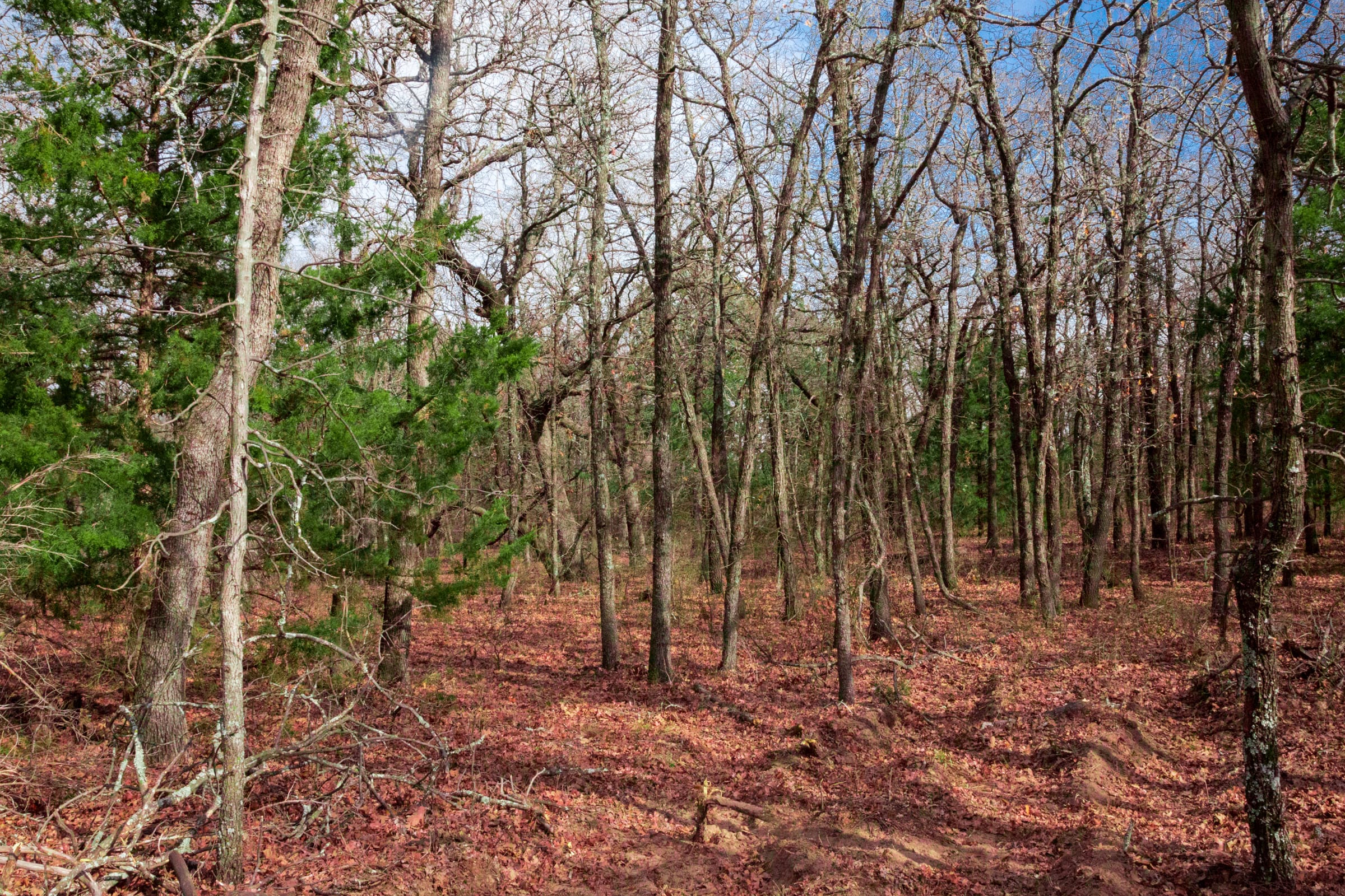 Legacy Ranch Tract 17 photo 10
