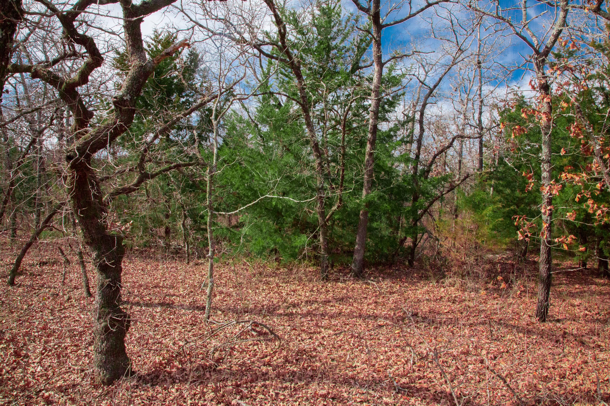 Legacy Ranch Tract 17 photo 13