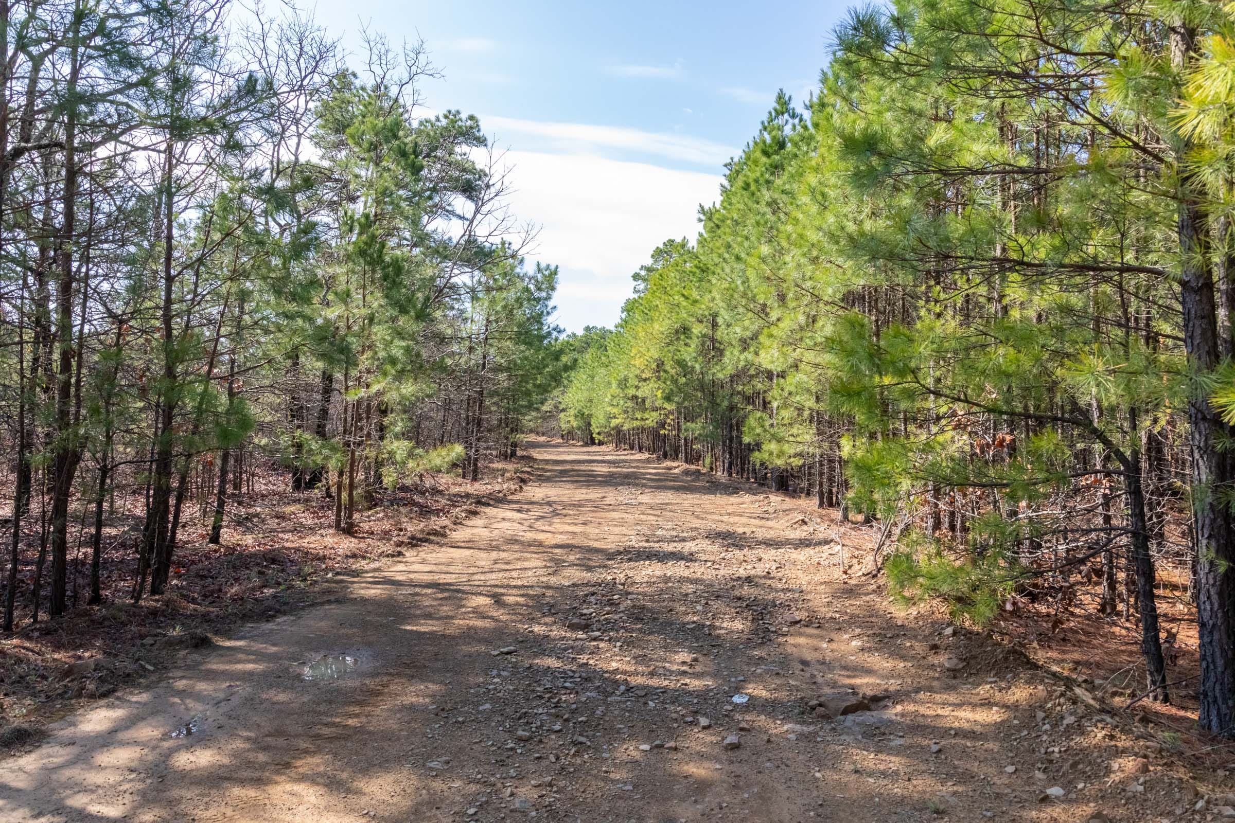 Stone Bridge Phase III Tract 184 photo 17