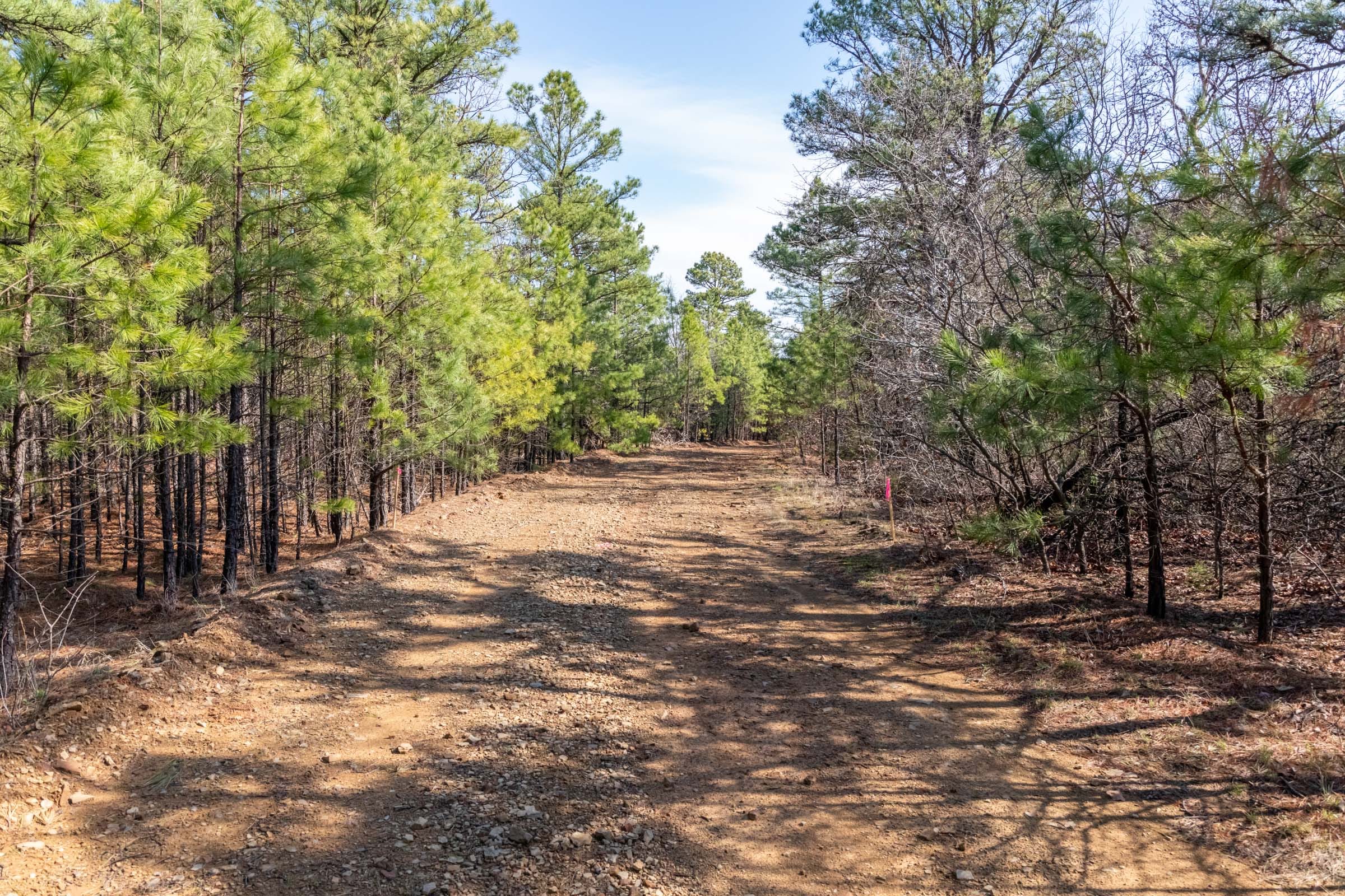 Stone Bridge Phase III Tract 184 photo 1