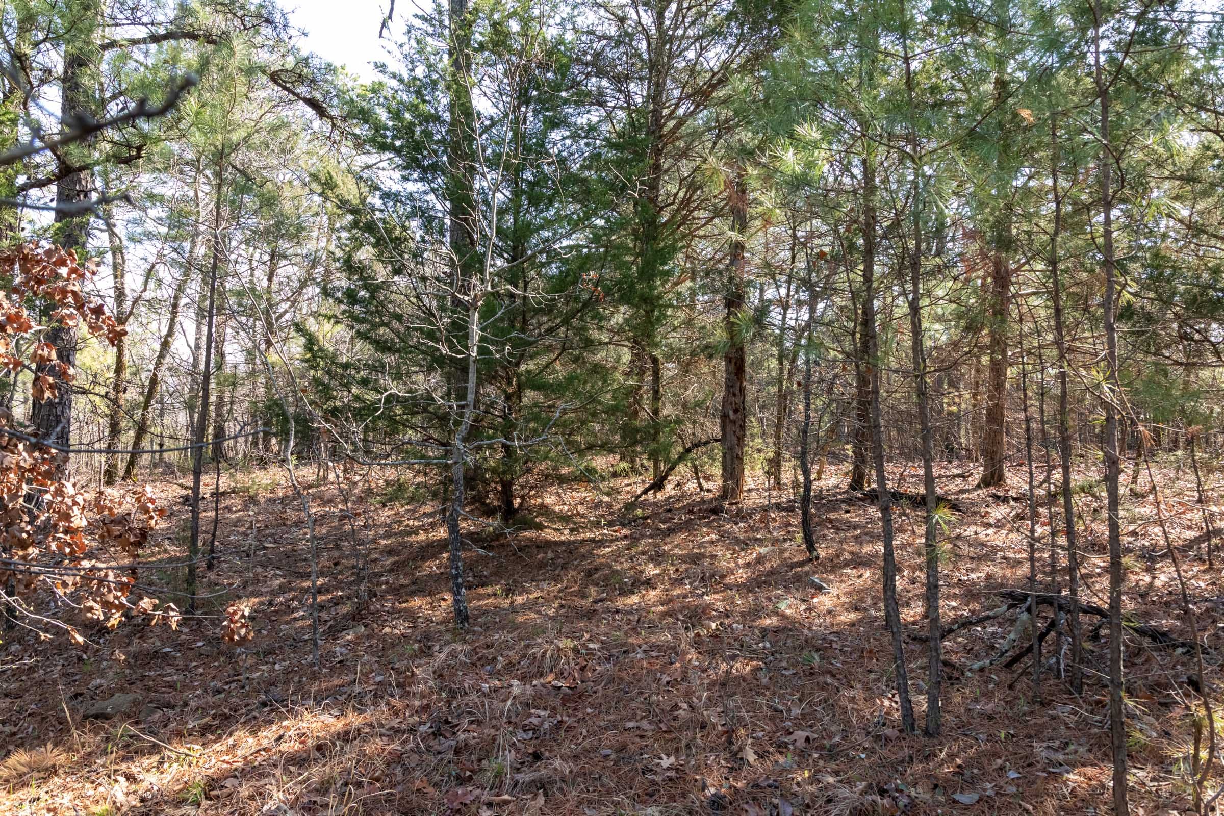 Stone Bridge Phase III Tract 184 photo 3