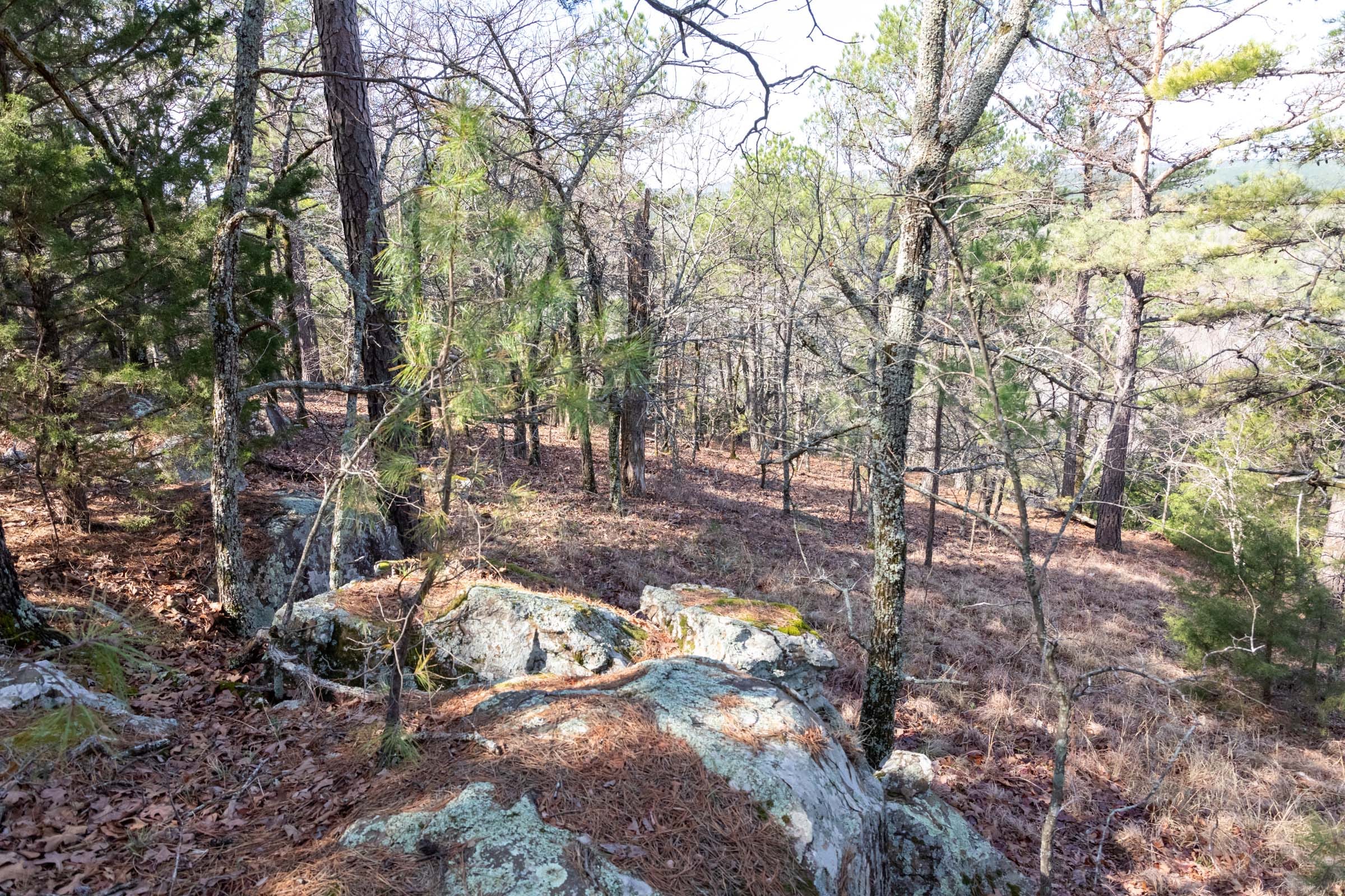 Stone Bridge Phase III Tract 184 photo 4