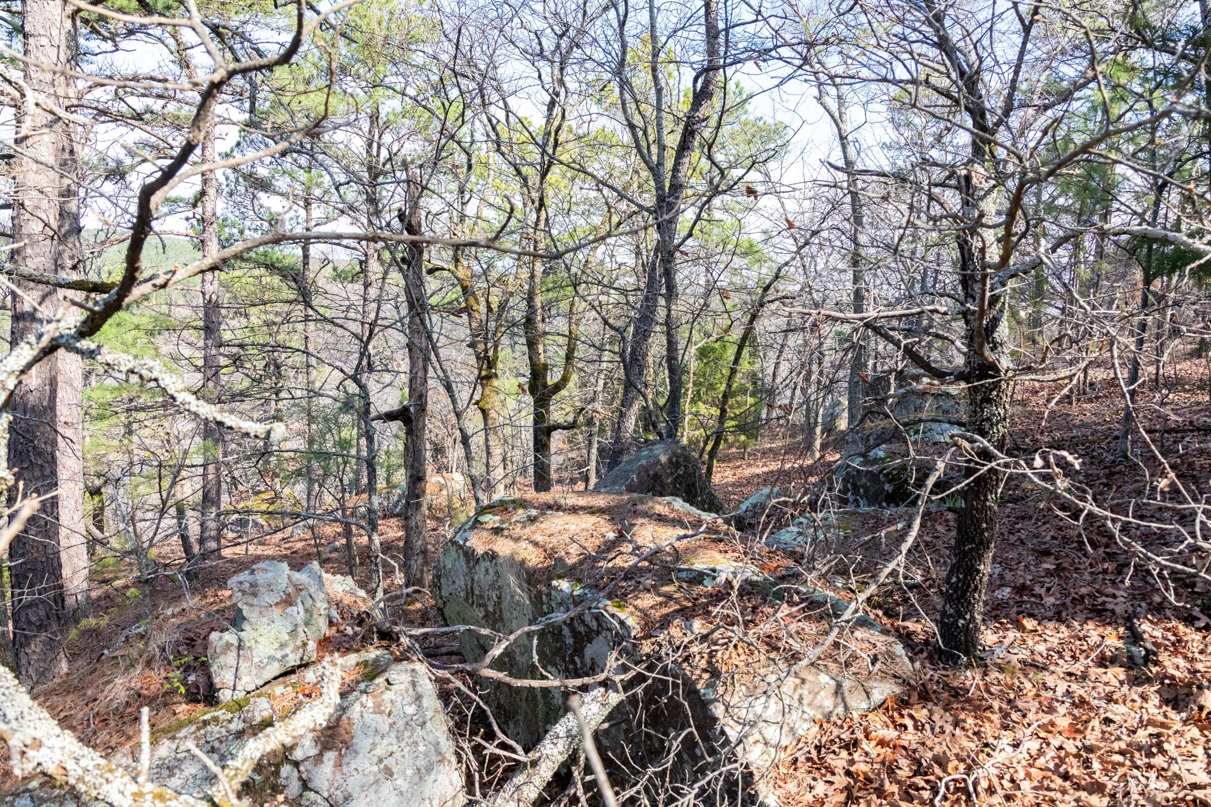 Stone Bridge Phase III Tract 184 photo 5