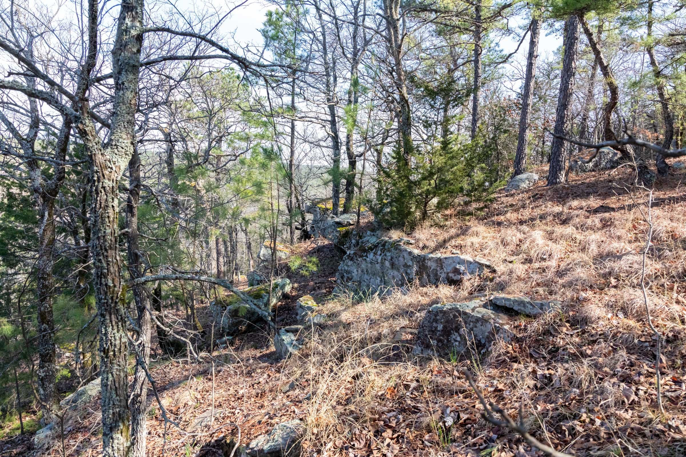Stone Bridge Phase III Tract 184 photo 7