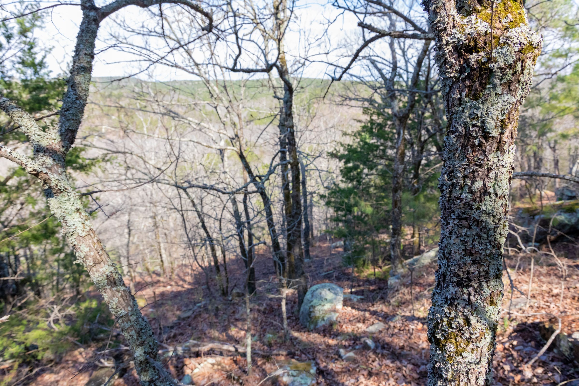 Stone Bridge Phase III Tract 184 photo 8