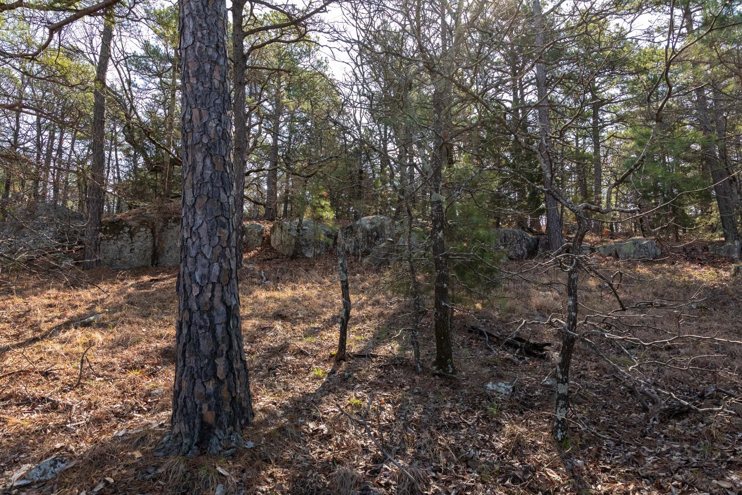 Stone Bridge Phase III Tract 184 photo 9