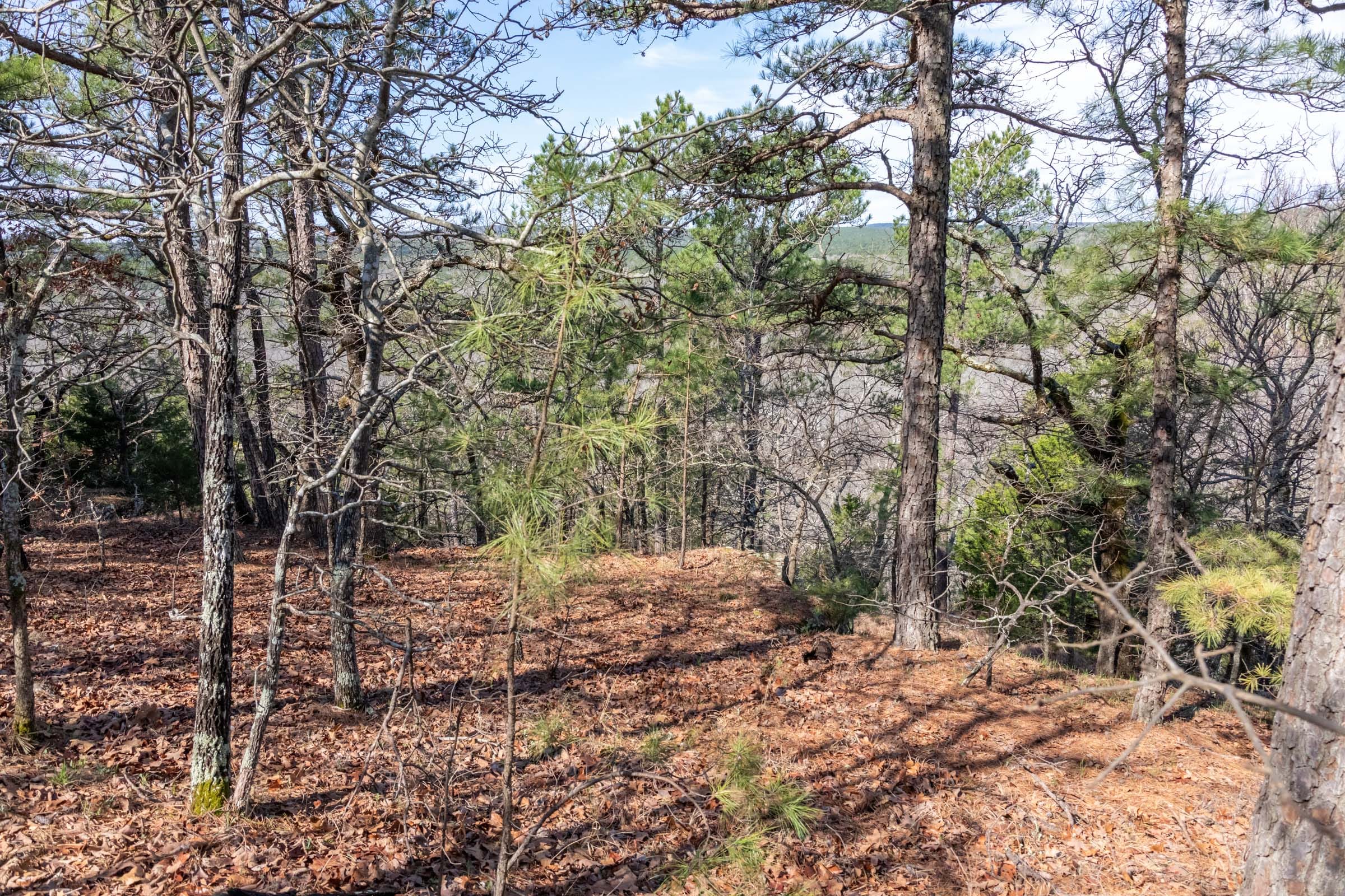 Stone Bridge Phase III Tract 184 photo 10