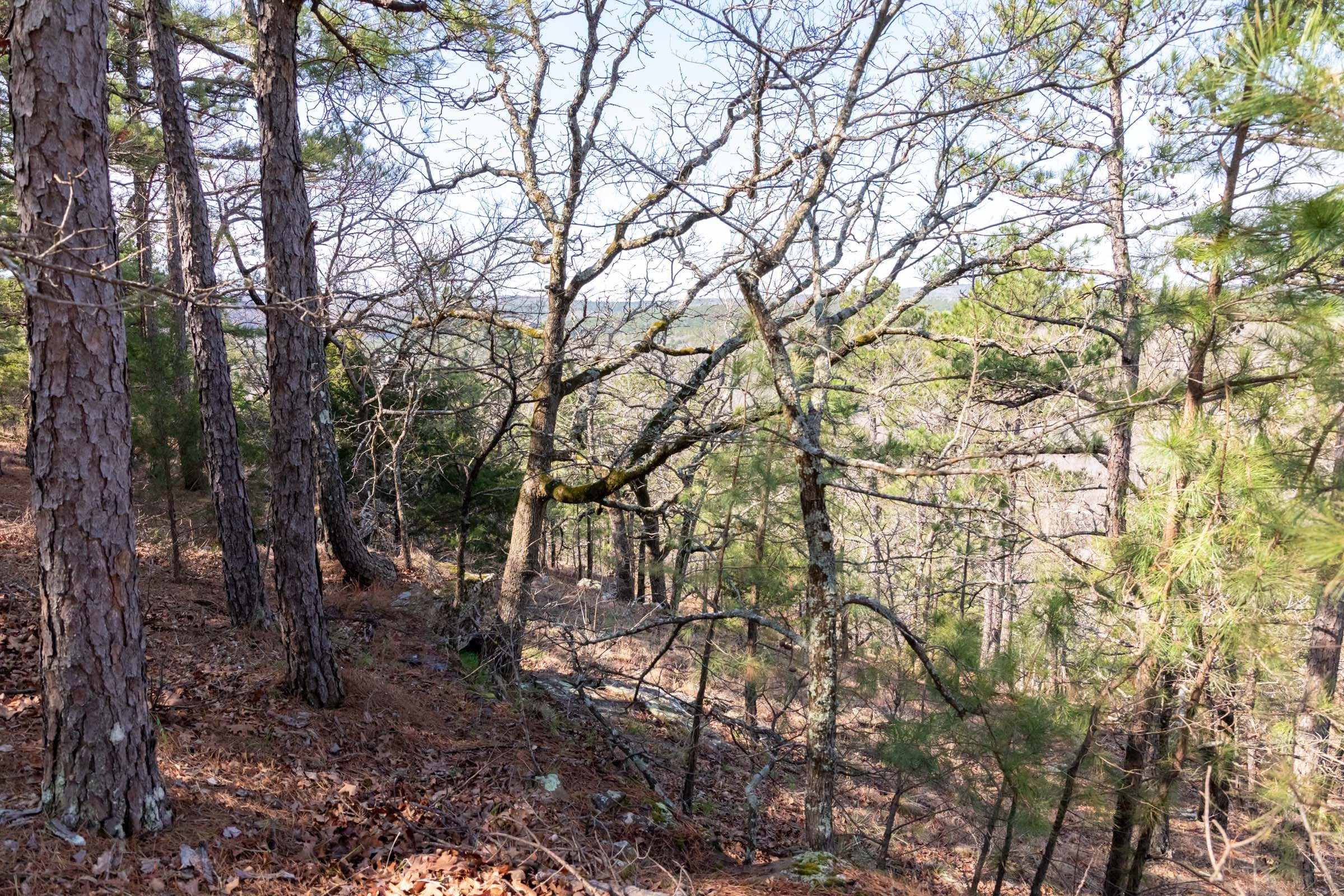 Stone Bridge Phase III Tract 184 photo 12
