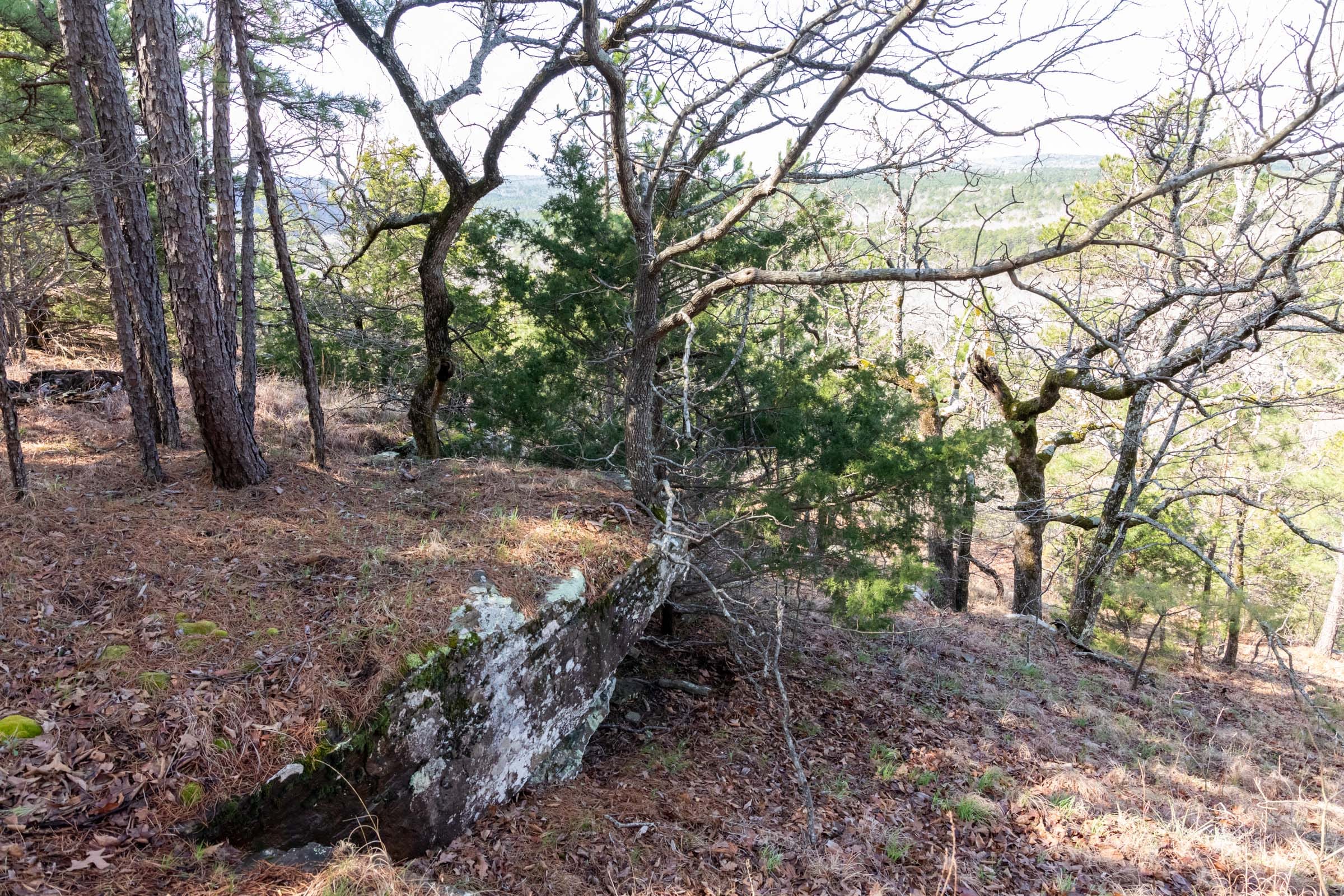 Stone Bridge Phase III Tract 184 photo 13