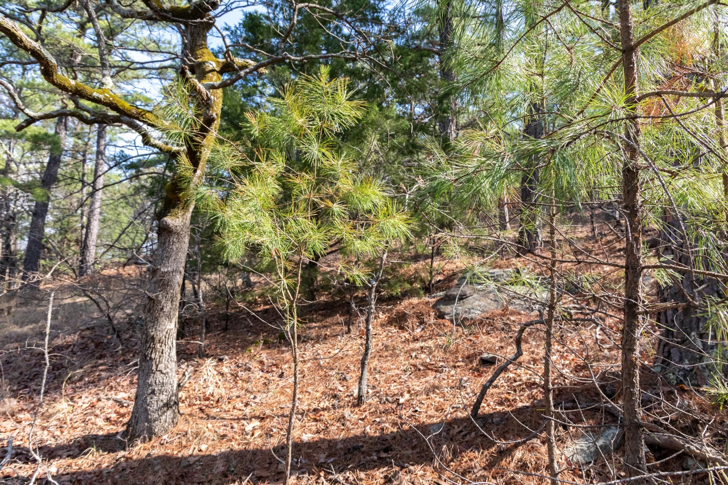 Stone Bridge Phase III Tract 184 photo 15
