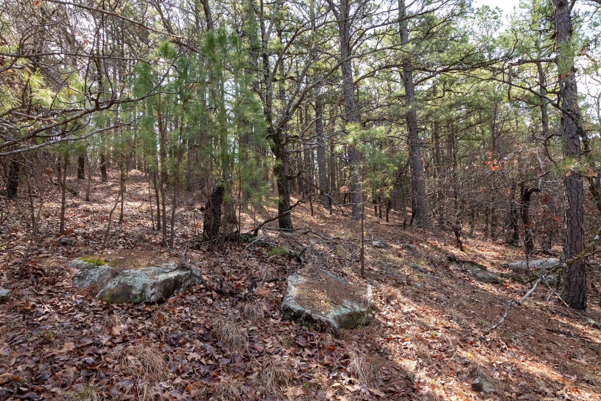 Stone Bridge Phase III Tract 184 photo 16