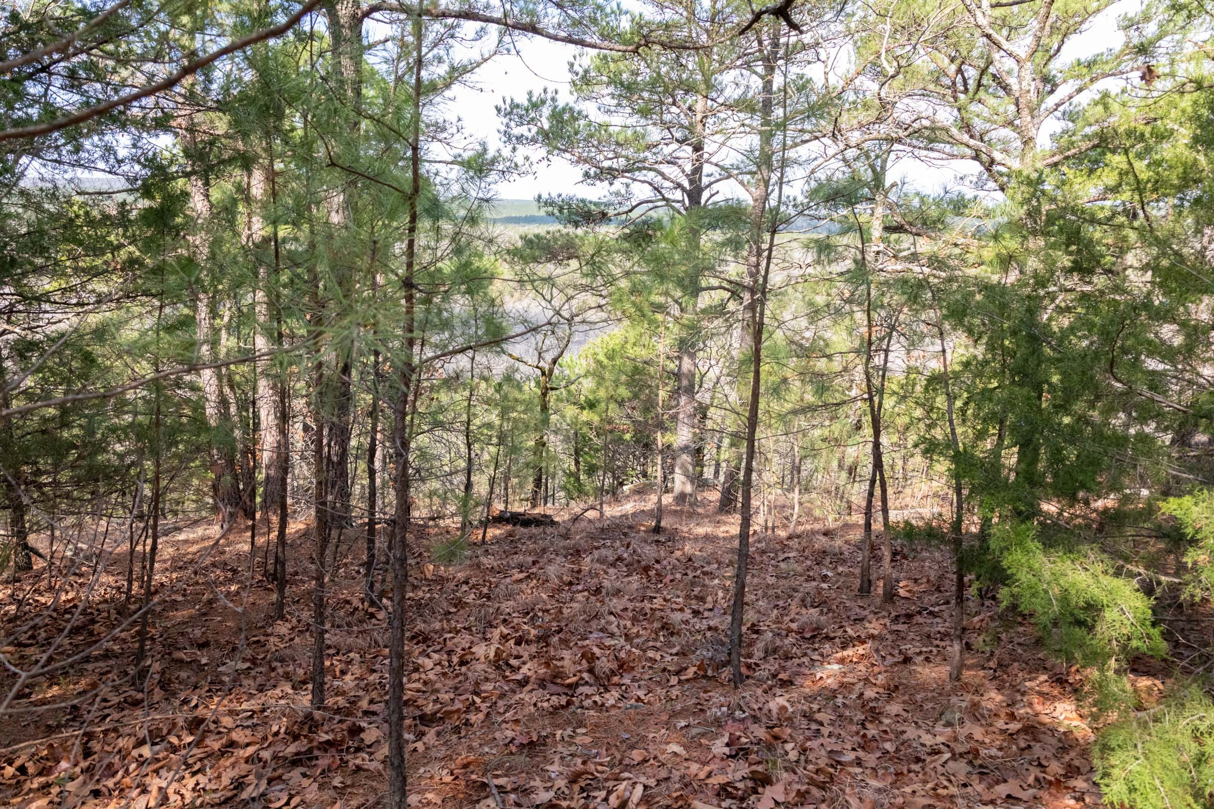 Stone Bridge Phase III Tract 184 photo 18
