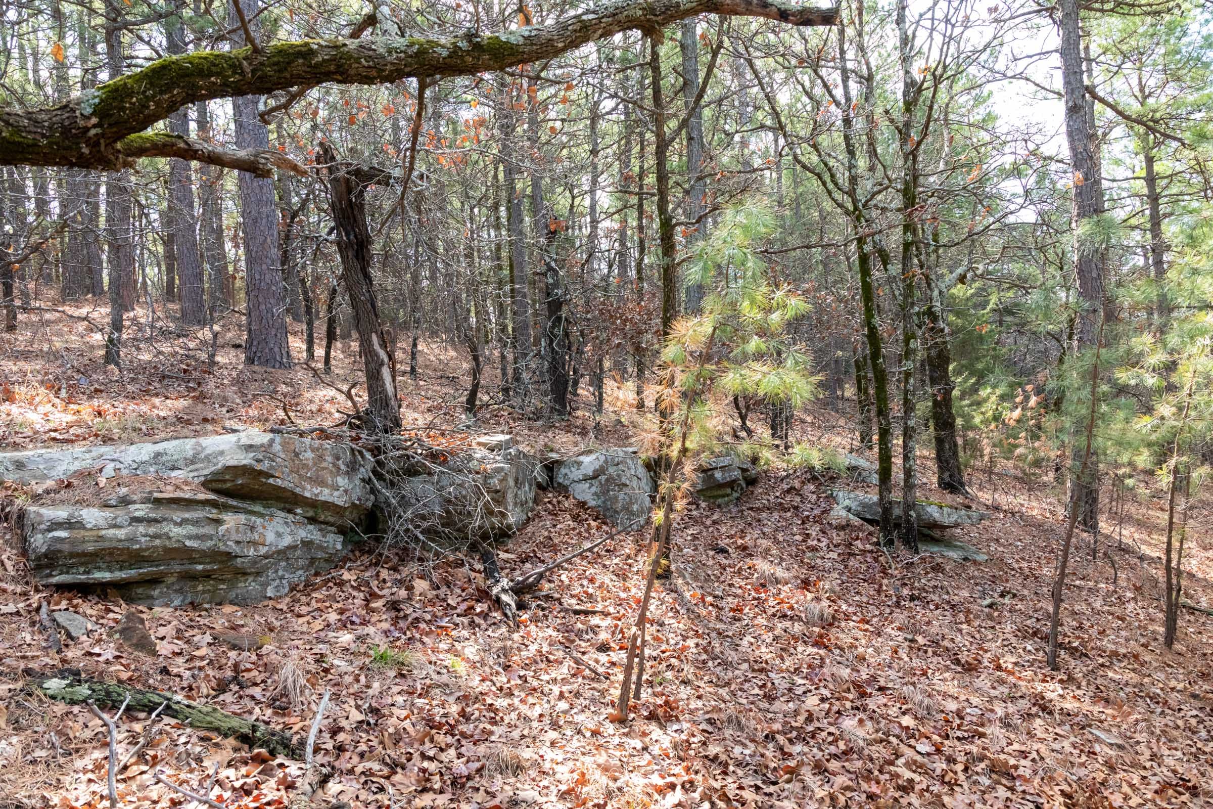 Stone Bridge Phase III Tract 184 photo 19