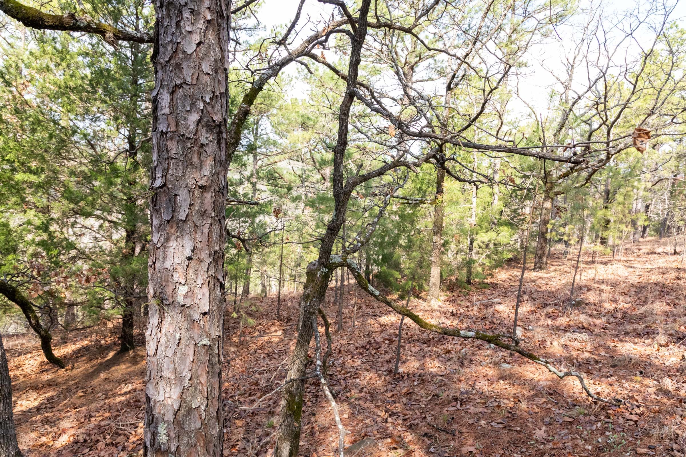 Stone Bridge Phase III Tract 184 photo 20