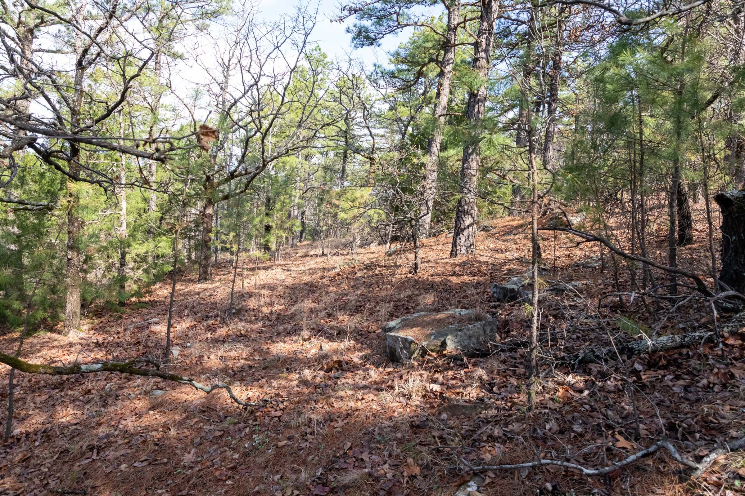 Stone Bridge Phase III Tract 184 photo 21