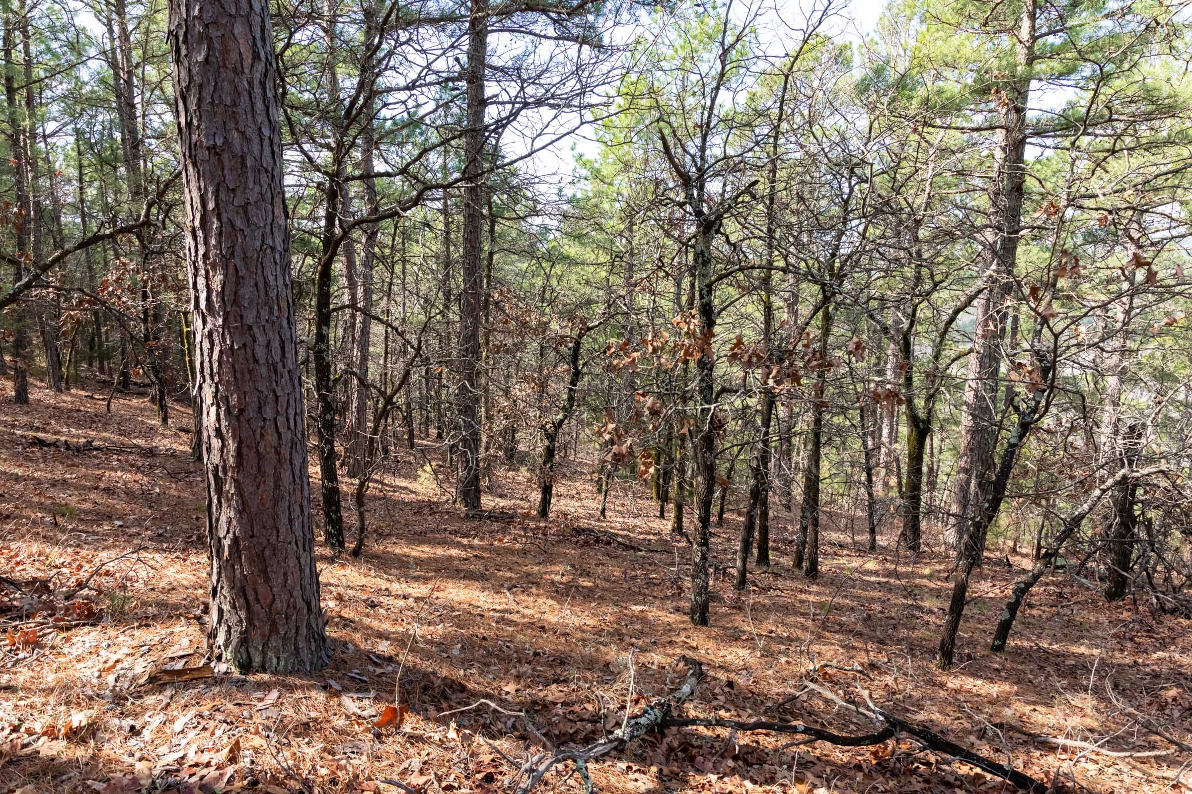 Stone Bridge Phase III Tract 184 photo 22