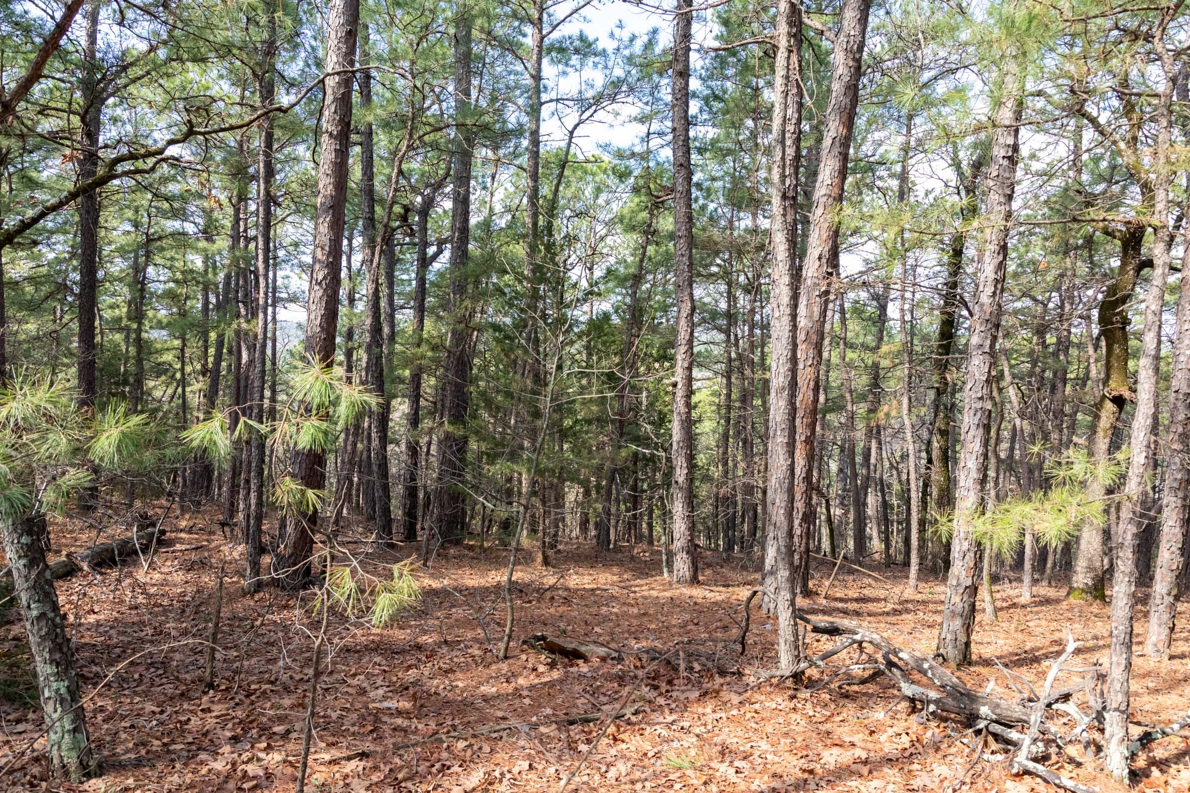 Stone Bridge Phase III Tract 184 photo 24