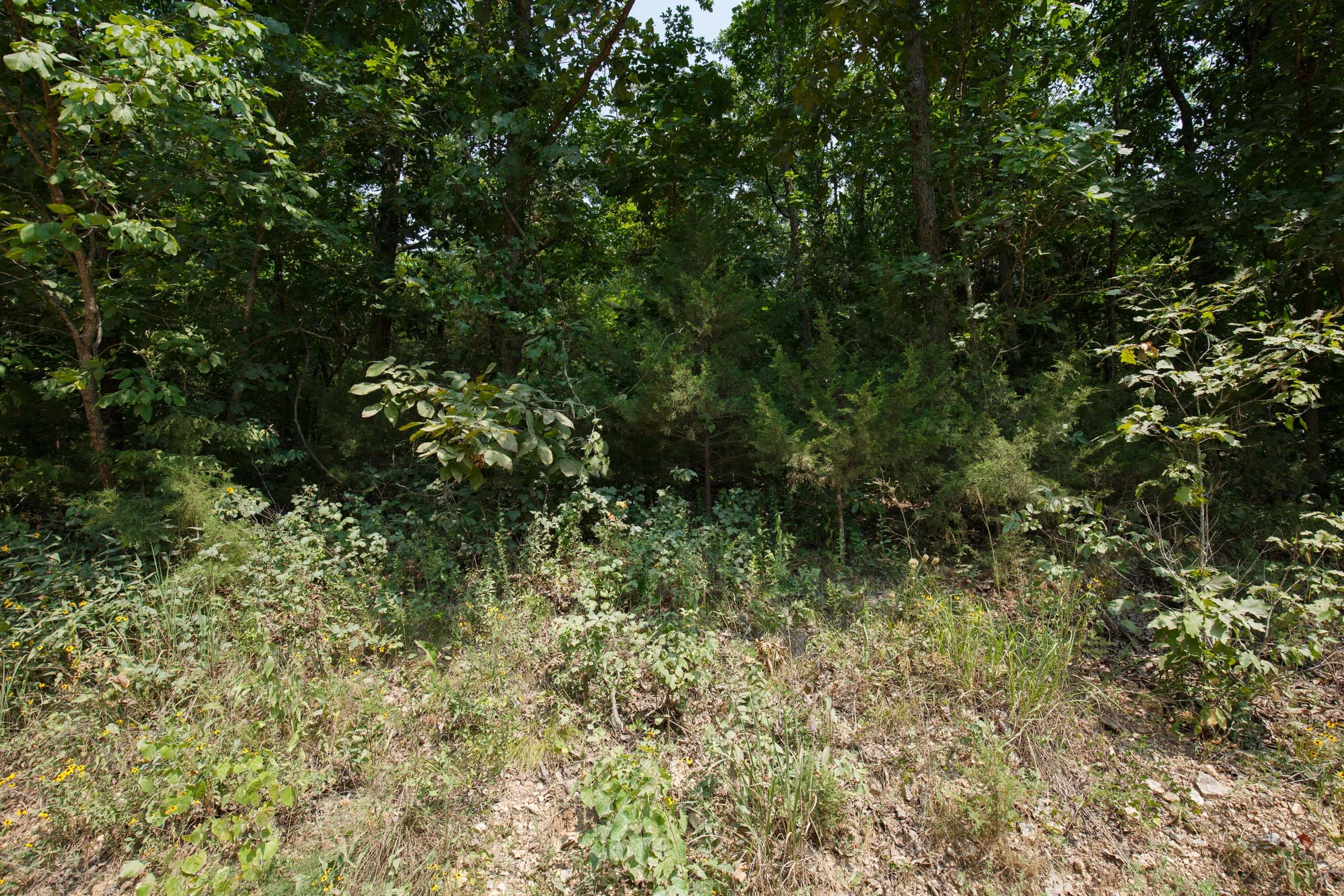 Spring Lake Tract 129 photo 2