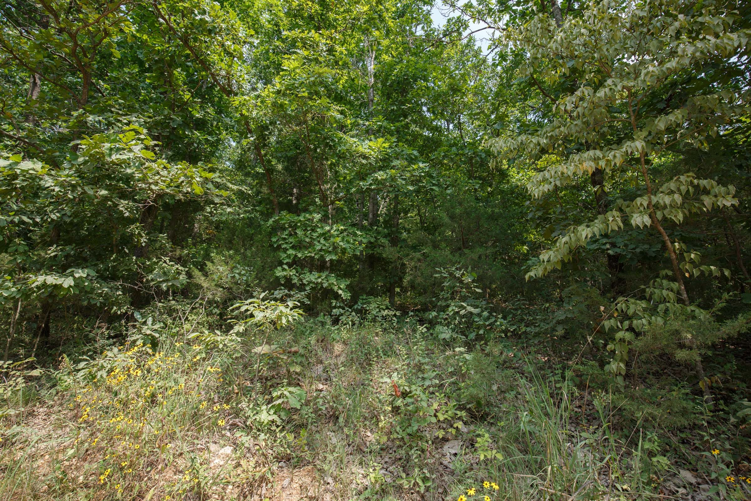 Spring Lake Tract 129 photo 5