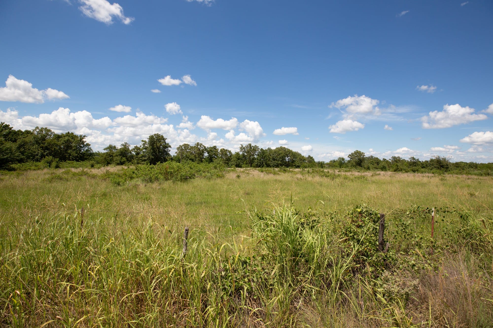 Paradise Valley Tract 24 photo 3
