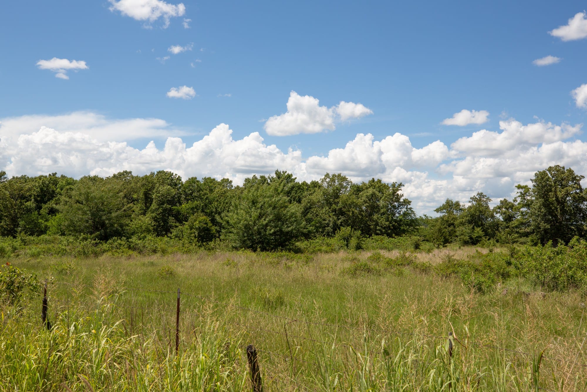 Paradise Valley Tract 24 photo 7