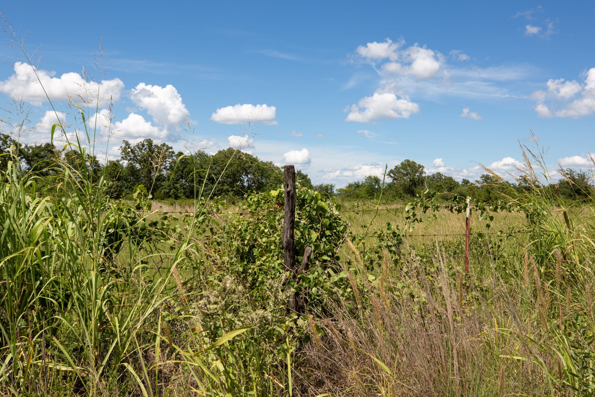 Paradise Valley Tract 24 photo 4