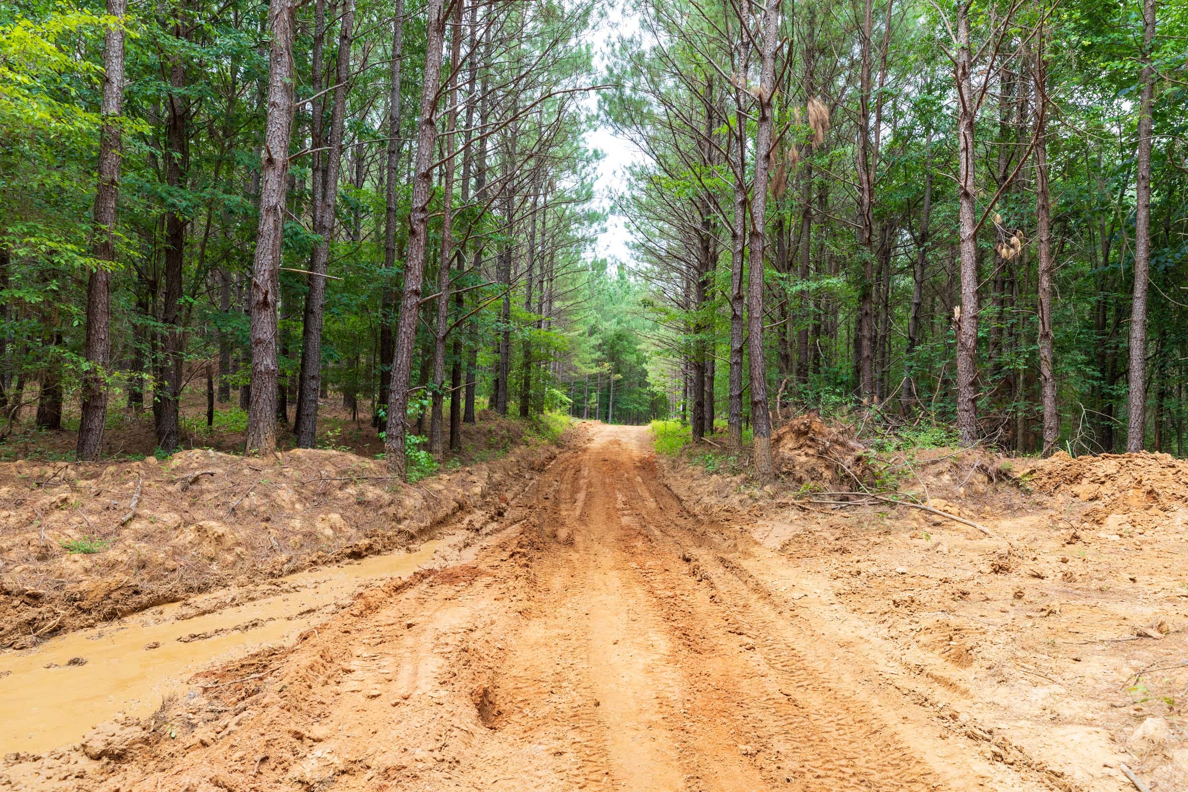 Whiskey Ridge Tract 17 photo 1