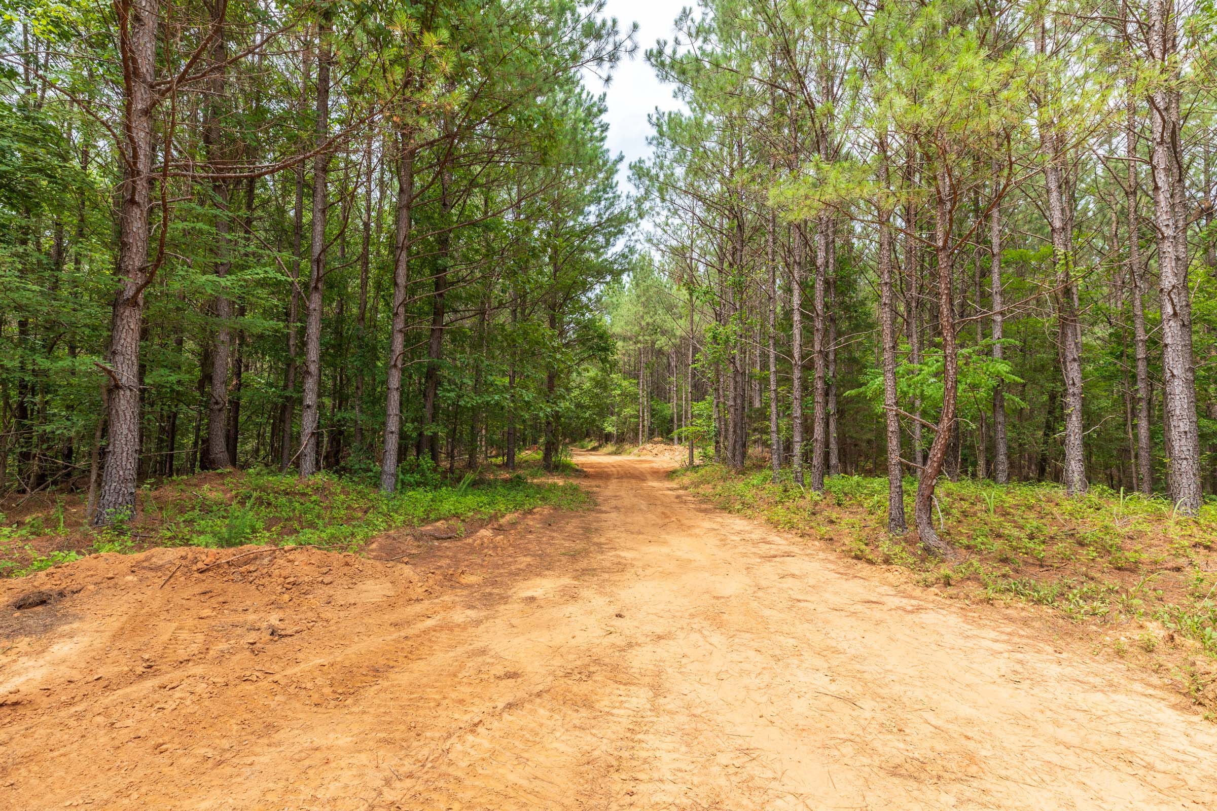 Whiskey Ridge Tract 17 photo 5
