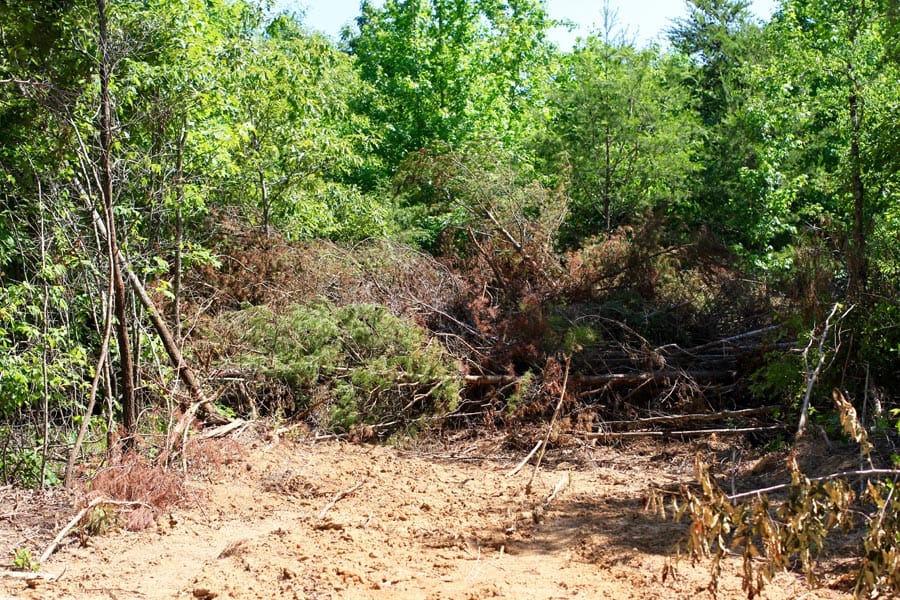 Hickory Hill Ranch Tract 8 photo 2