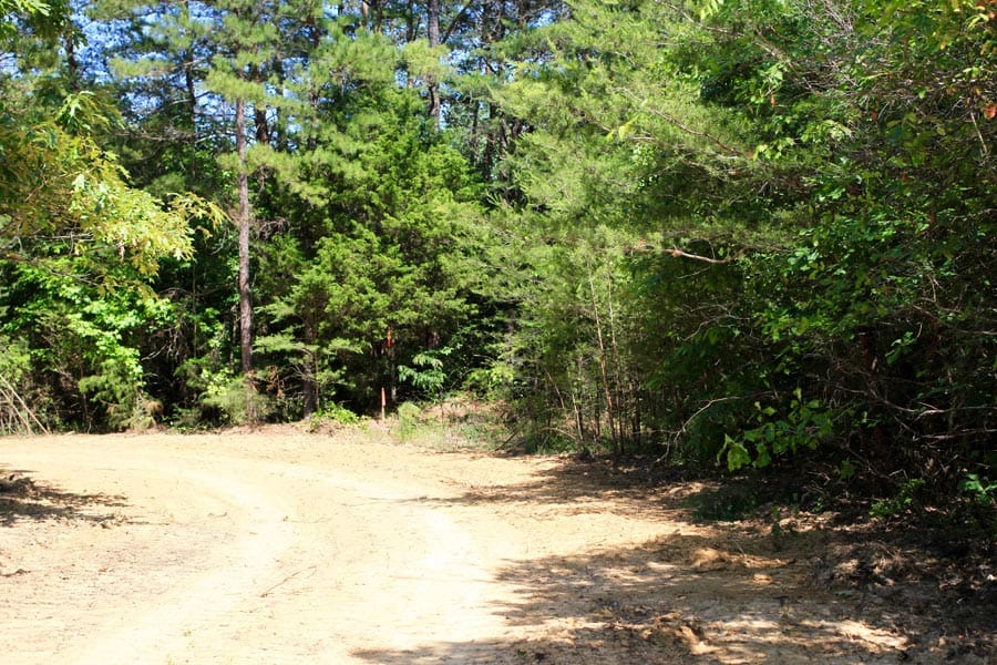 Hickory Hill Ranch Tract 8 photo 3