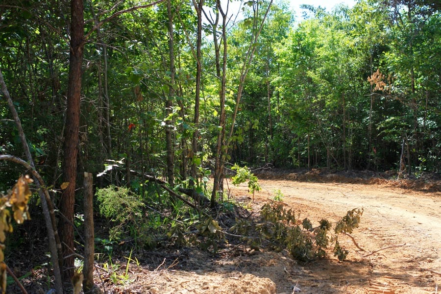 Hickory Hill Ranch Tract 8 photo 4