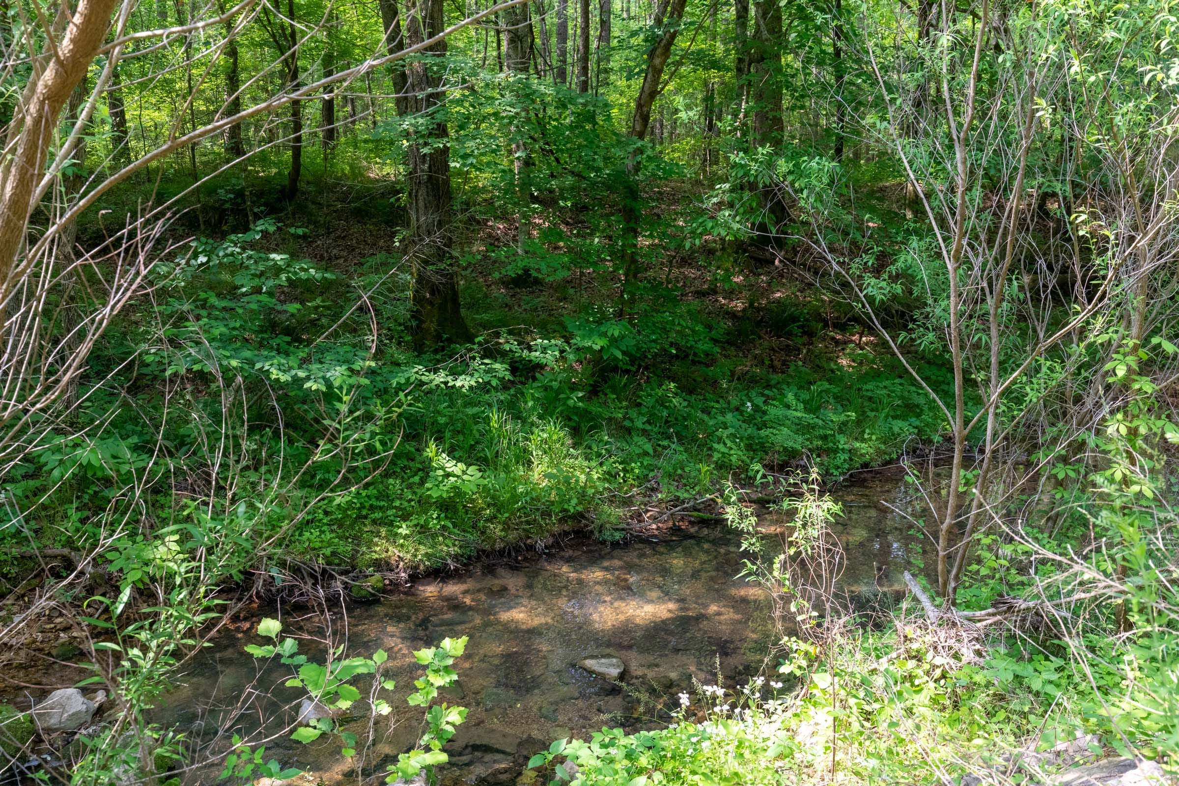 Cedar Creek Tract 46 photo 2