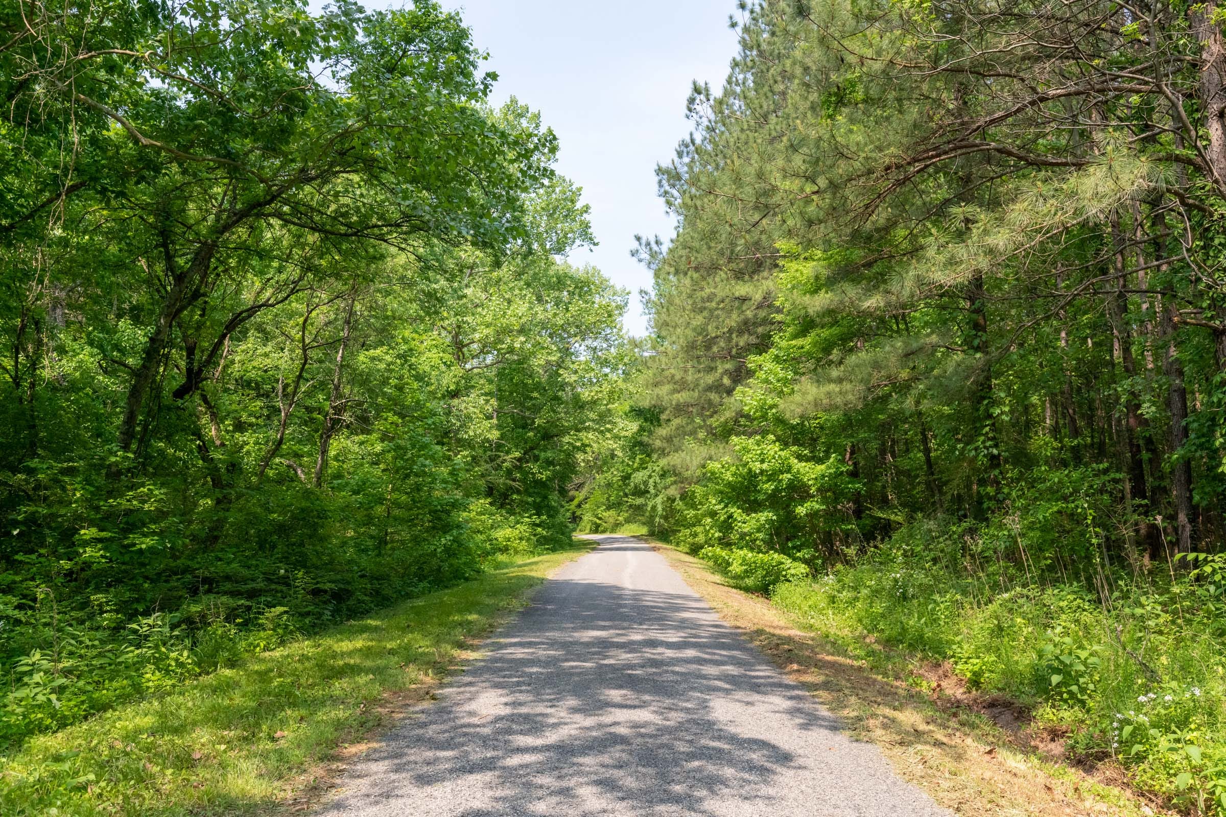 Cedar Creek Tract 46 photo 1