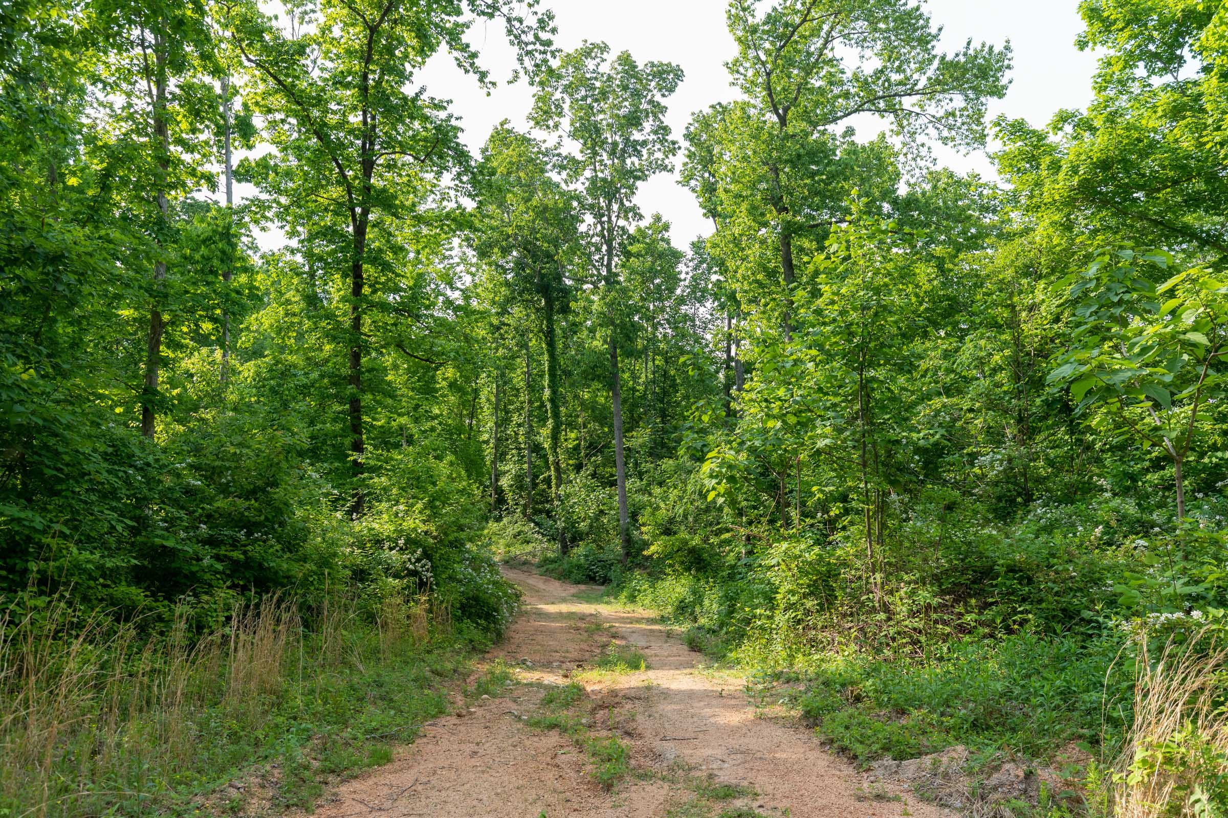 Cedar Creek Tract 46 photo 11