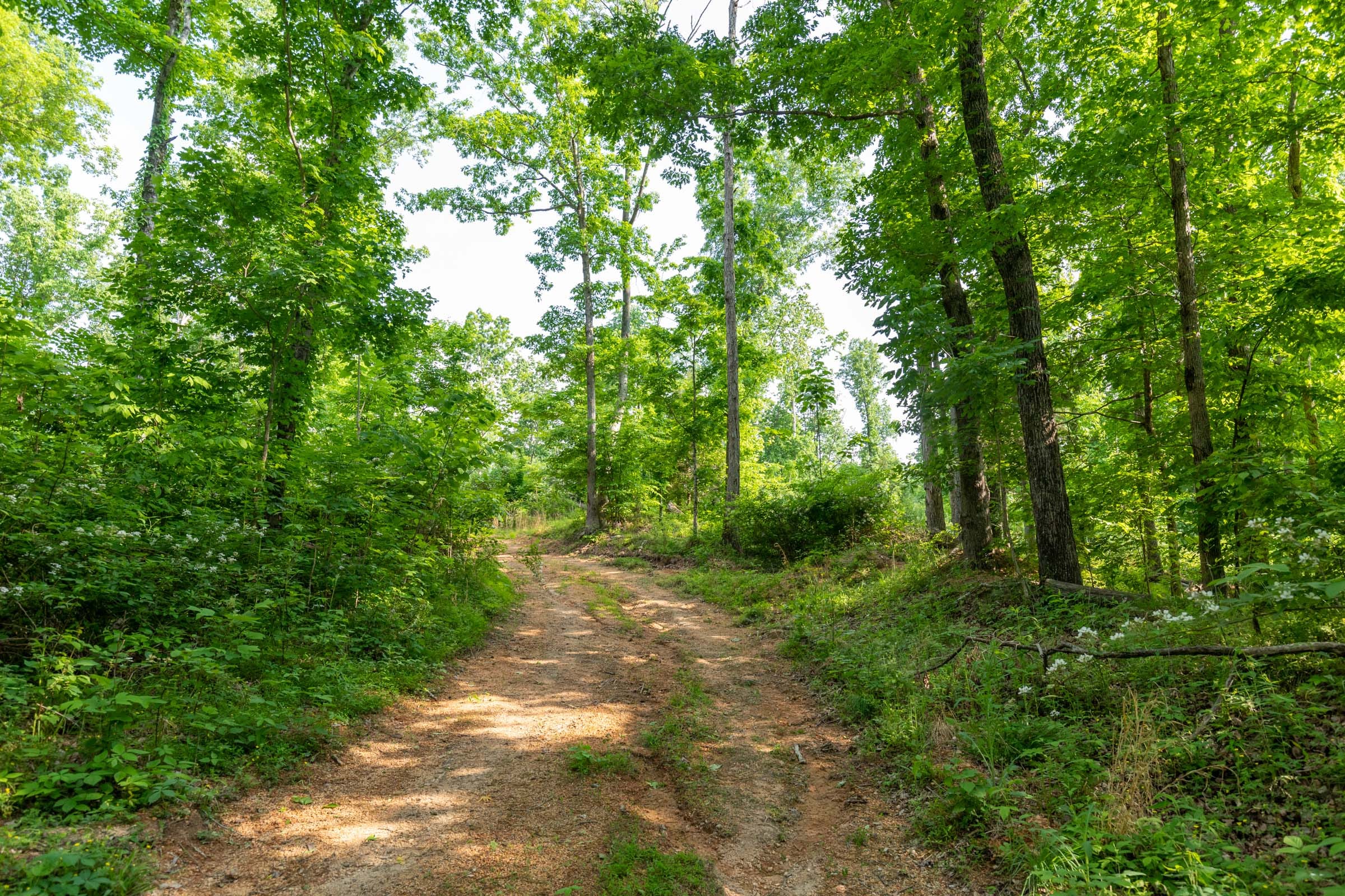 Cedar Creek Tract 46 photo 6
