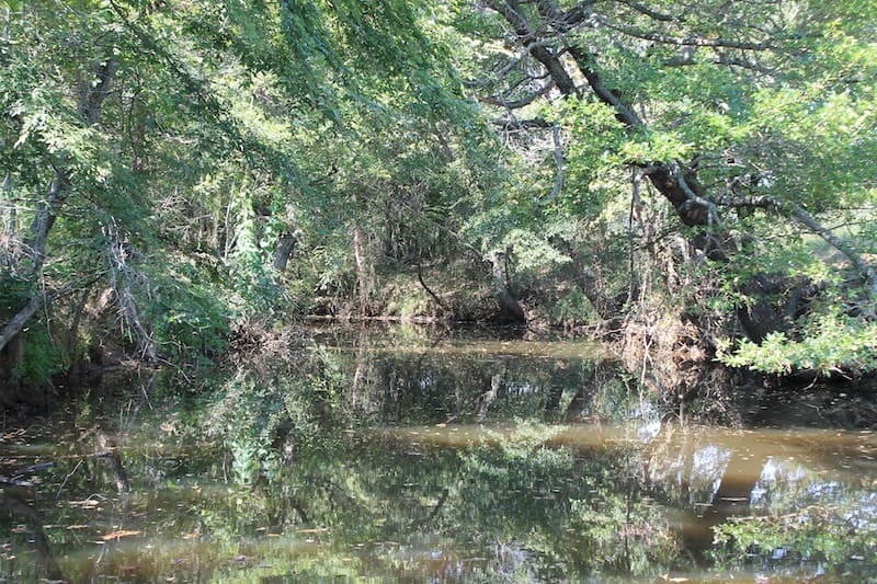 Daisy Meadows Tract 37 photo 2