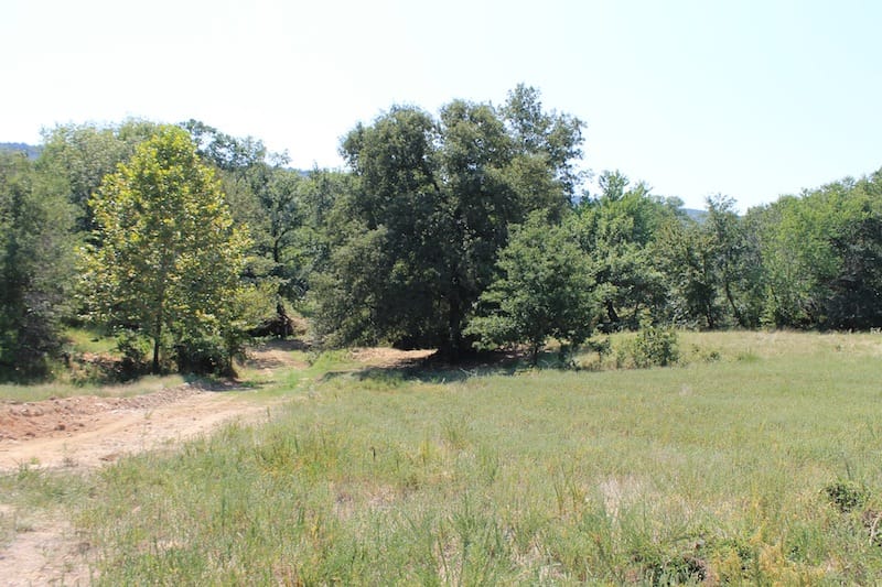Daisy Meadows Tract 37 photo 1