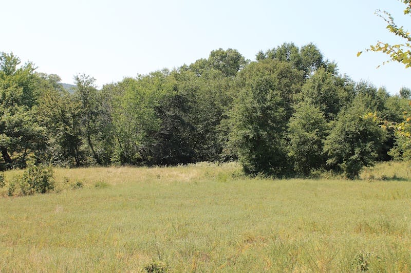 Daisy Meadows Tract 37 photo 3